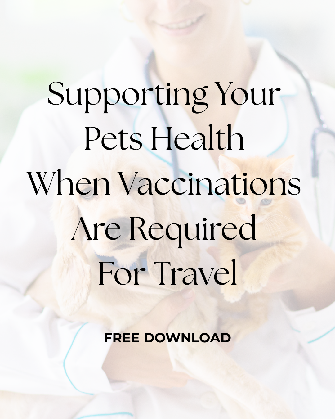 Download & Product Images (2).png