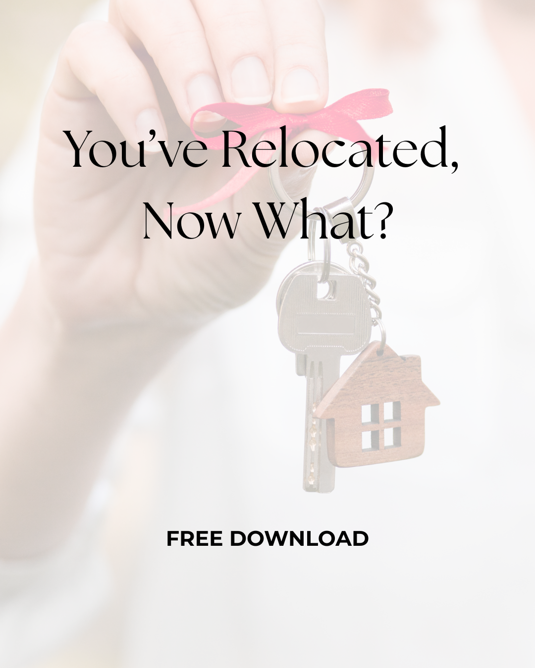 Download & Product Images.png