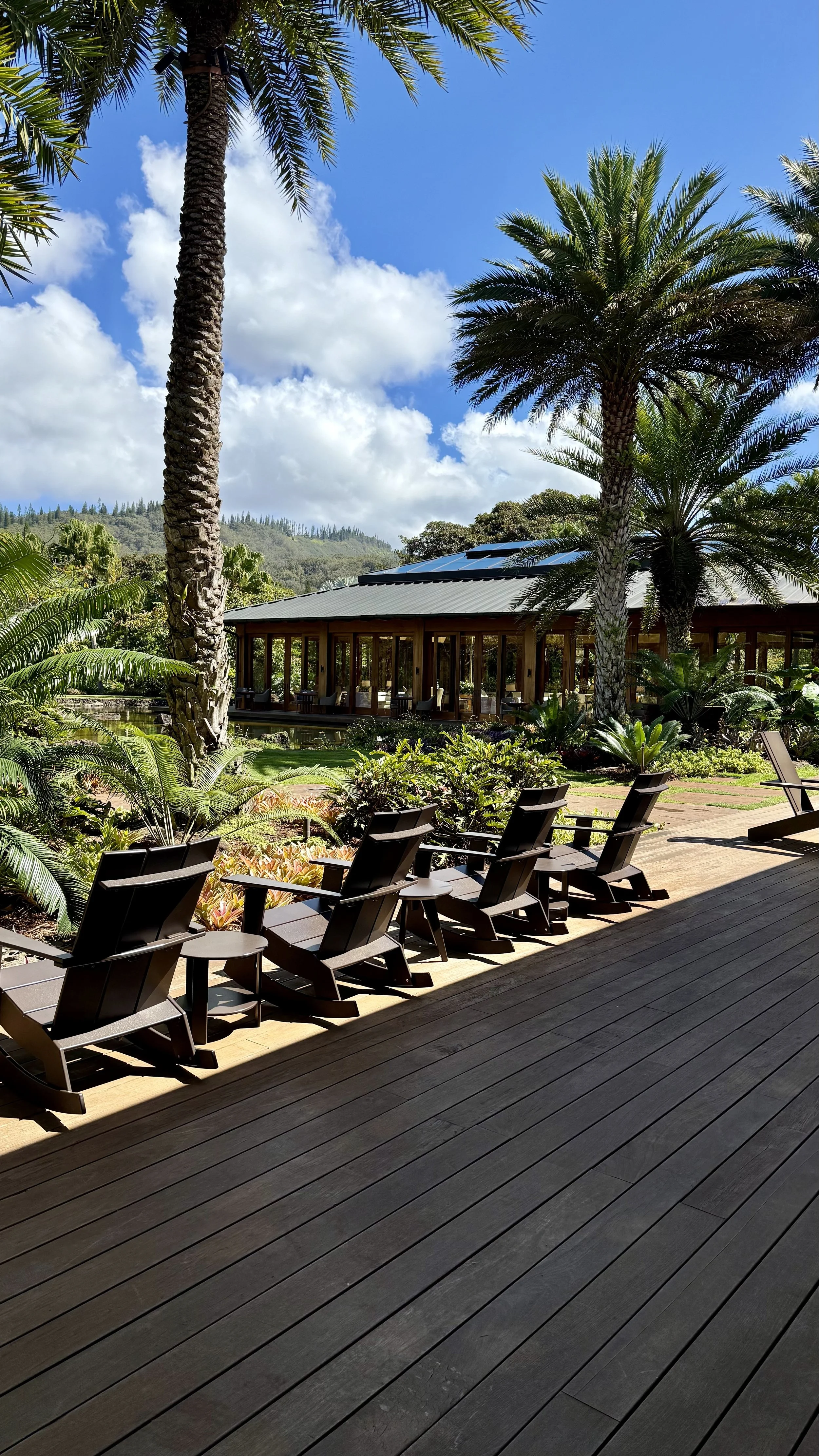 FS Sensei Patio.jpeg