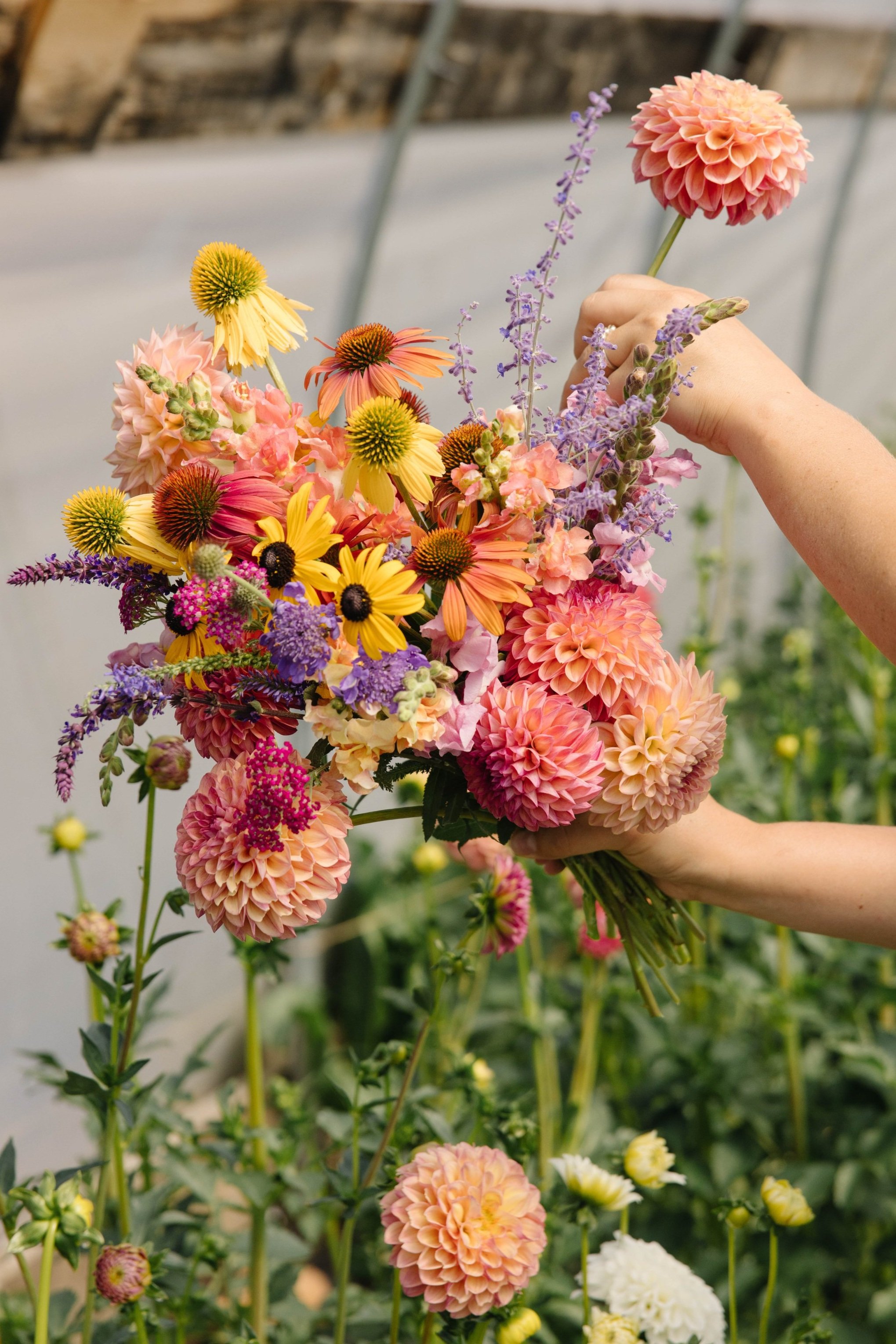 echocanyonflowerfarm-6194+%281%29.jpg