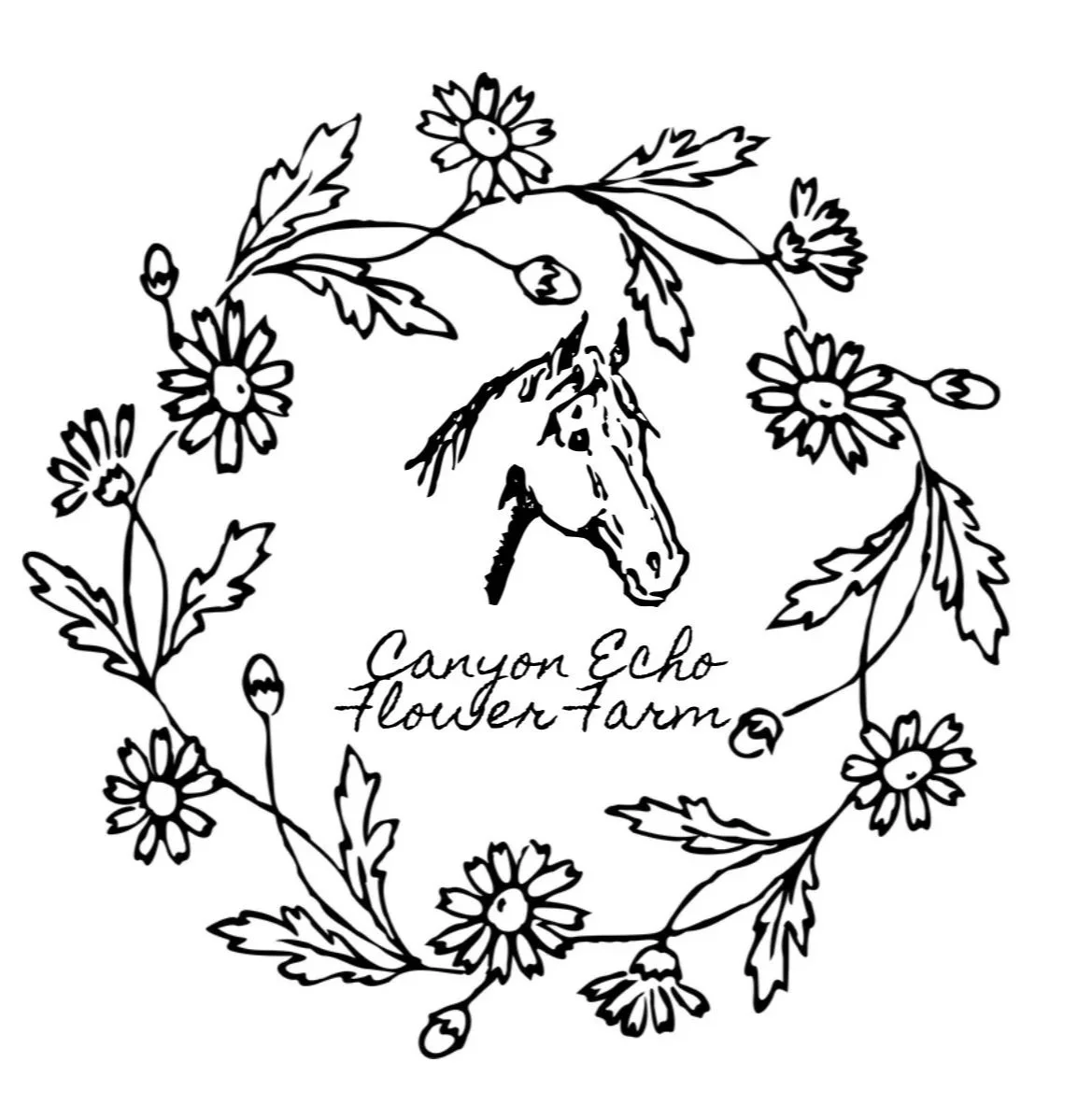 Canyon Echo Flower Farm