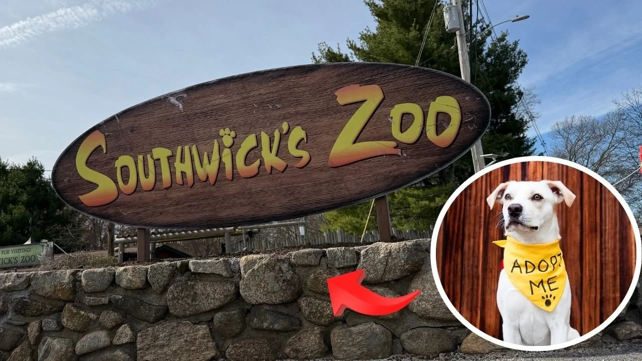 Jonathan's ONLY  (6).jpg