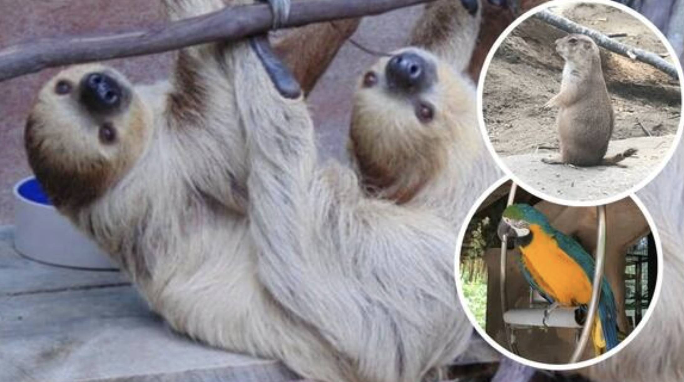 Screen Shot 2025-04-14 at 12.26.20 PM.png