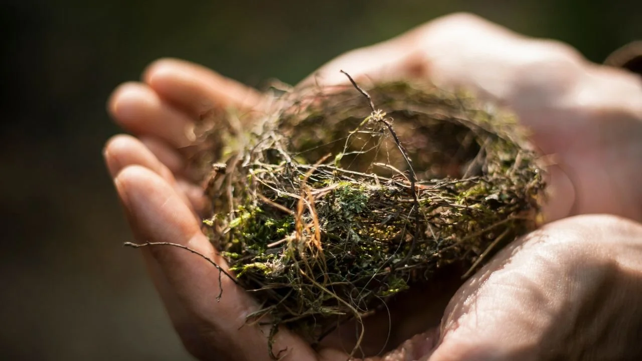 Jonathan's ONLY  (10).jpg