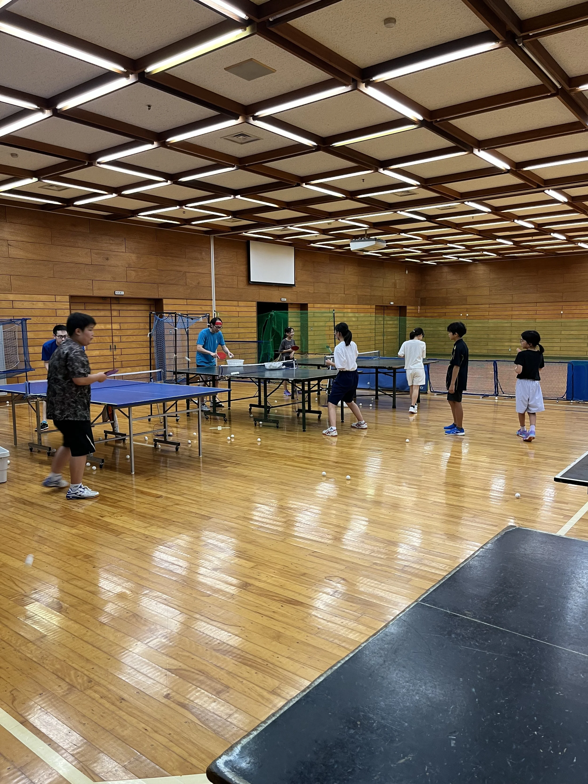 卓球の練習風景