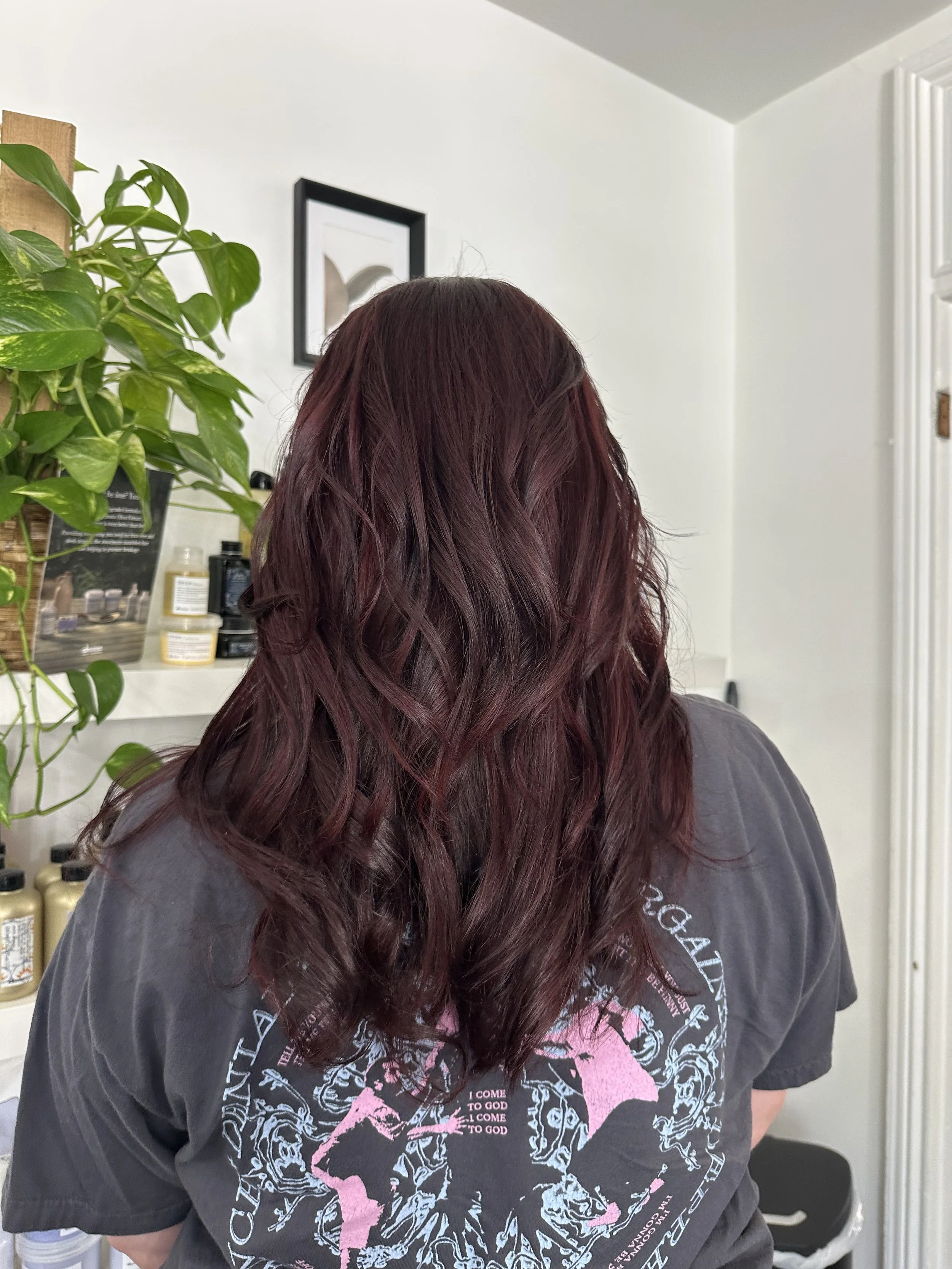 Back of a person with long, wavy maroon hair wearing a black T-shirt with pink and white graphics and text, standing in a room with a white wall, framed art, green plant, and shelving with bottles.