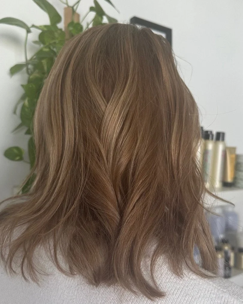 The image shows the back of a person's head with medium-length, wavy, light brown or caramel-colored hair, in a room with a green leafy plant and shelving with bottles in the background.