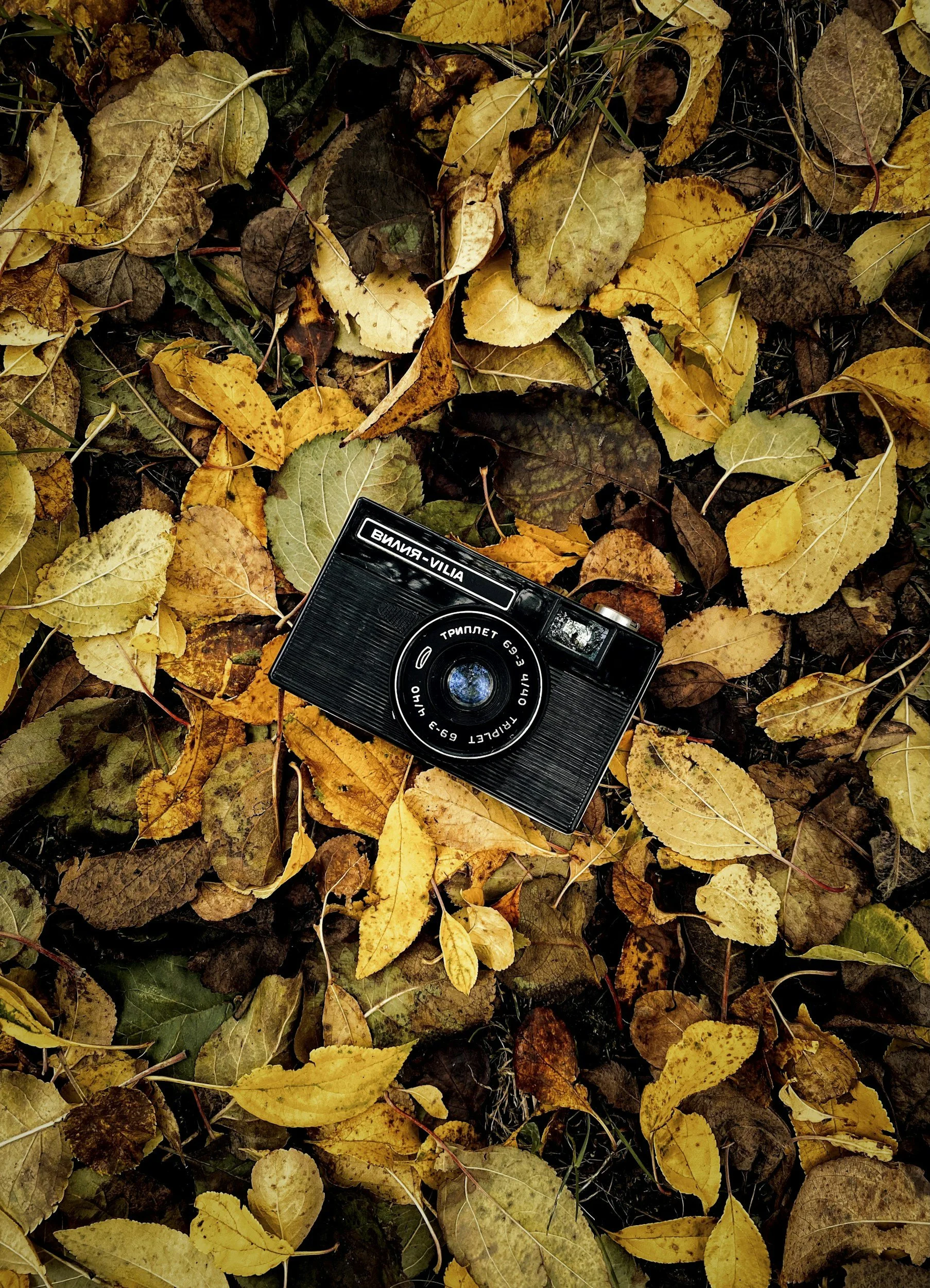 Using Seasonal Themes to Energize Your Q4 Content Strategy