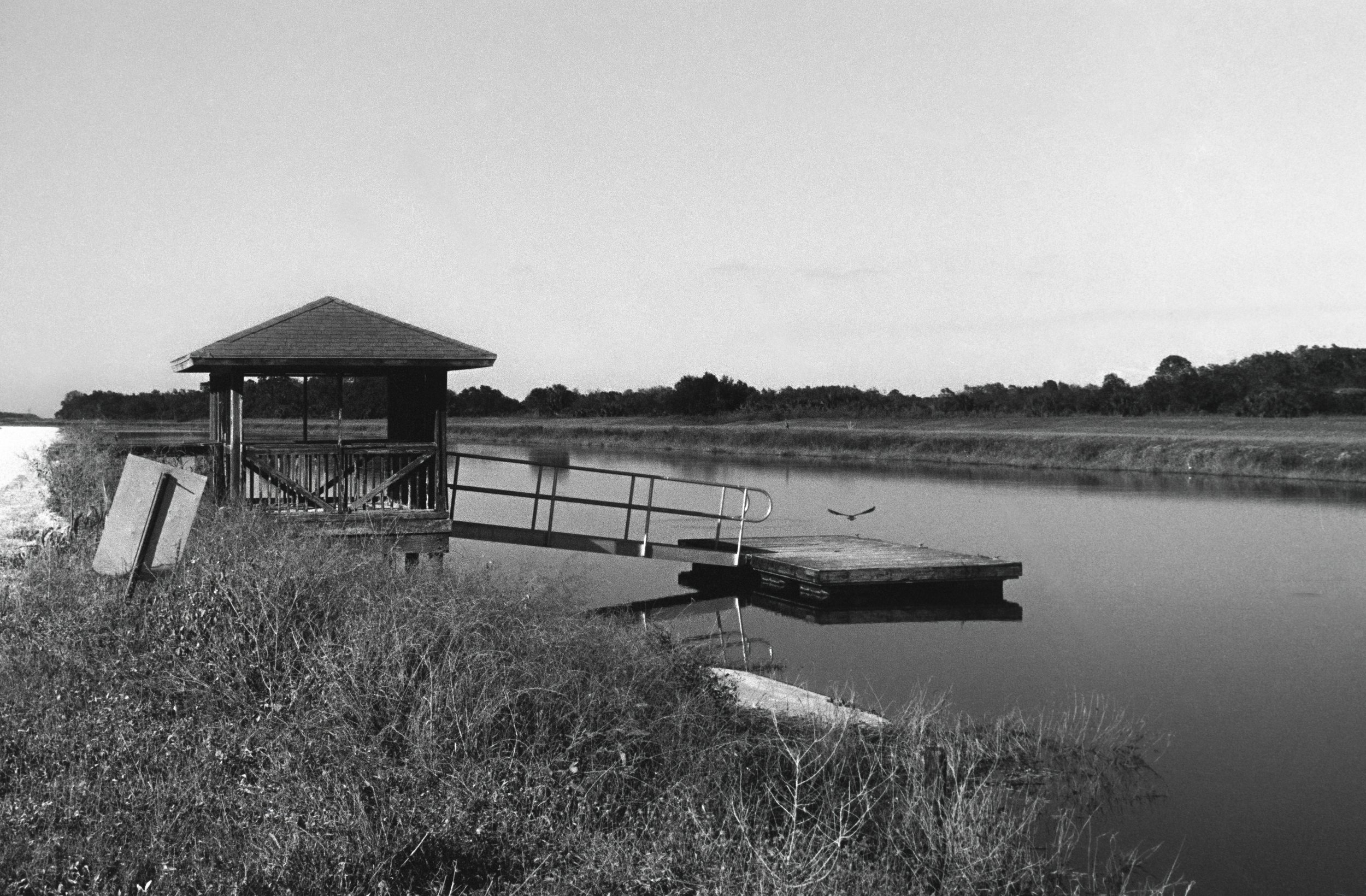 Amber Cypress Senior Show-2.jpeg