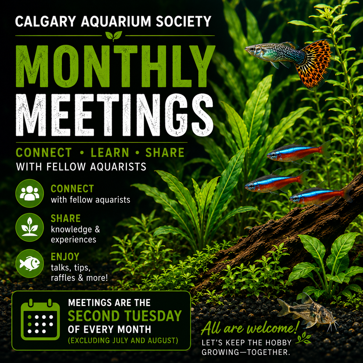 Monthly Meeting Sep