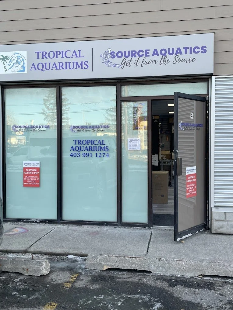 Storefront of Source Aquatics, a tropical aquariums shop, with business name and contact number displayed on glass windows, and a sign indicating customer parking only at the entrance door.