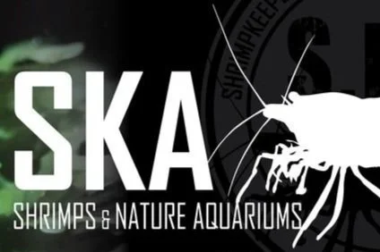 Logo for SKA Shrimp & Nature Aquariums with a white crayfish illustration