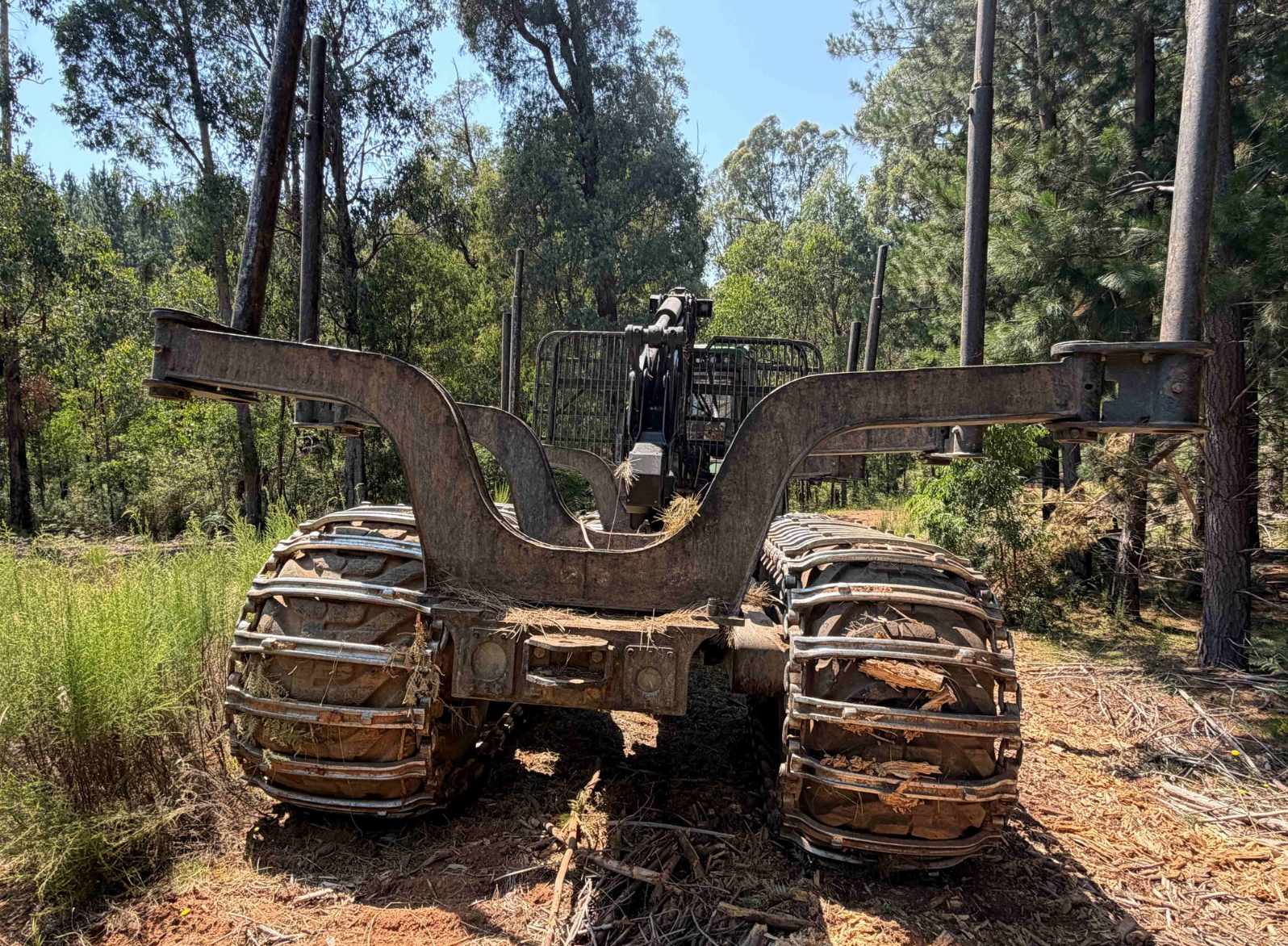 Screenshot 2026-01-20 124734.png