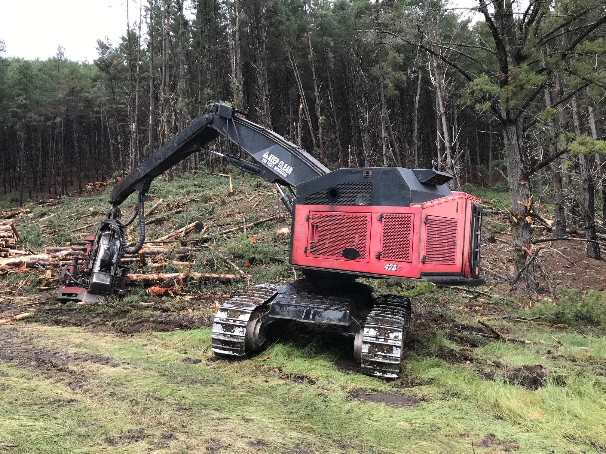 A red logging excavator in a forest clearing with felled trees and branches on the ground.