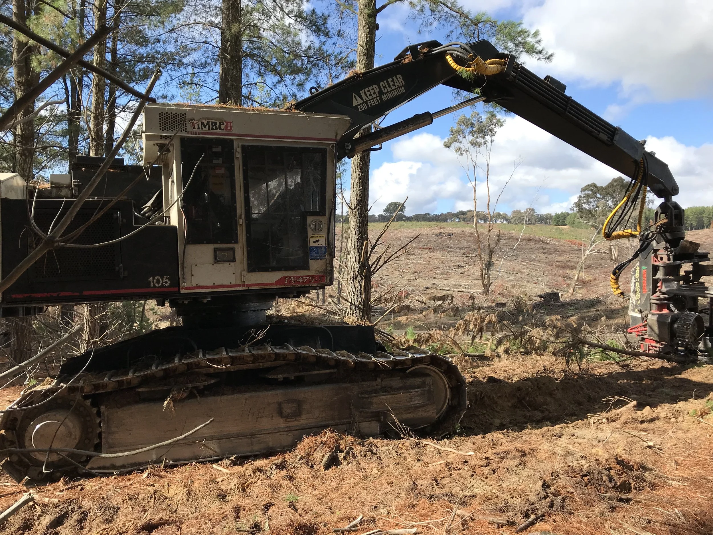 Forestry machine clearing trees in a forested area