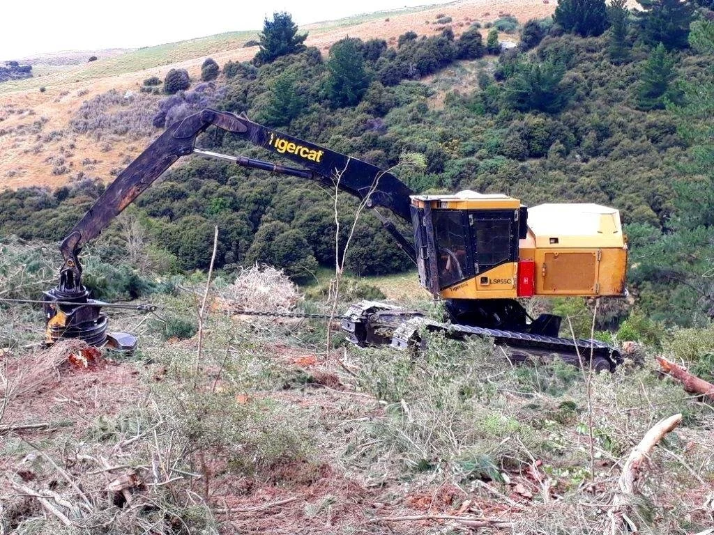 Forestry machine operating in a hilly woodland area