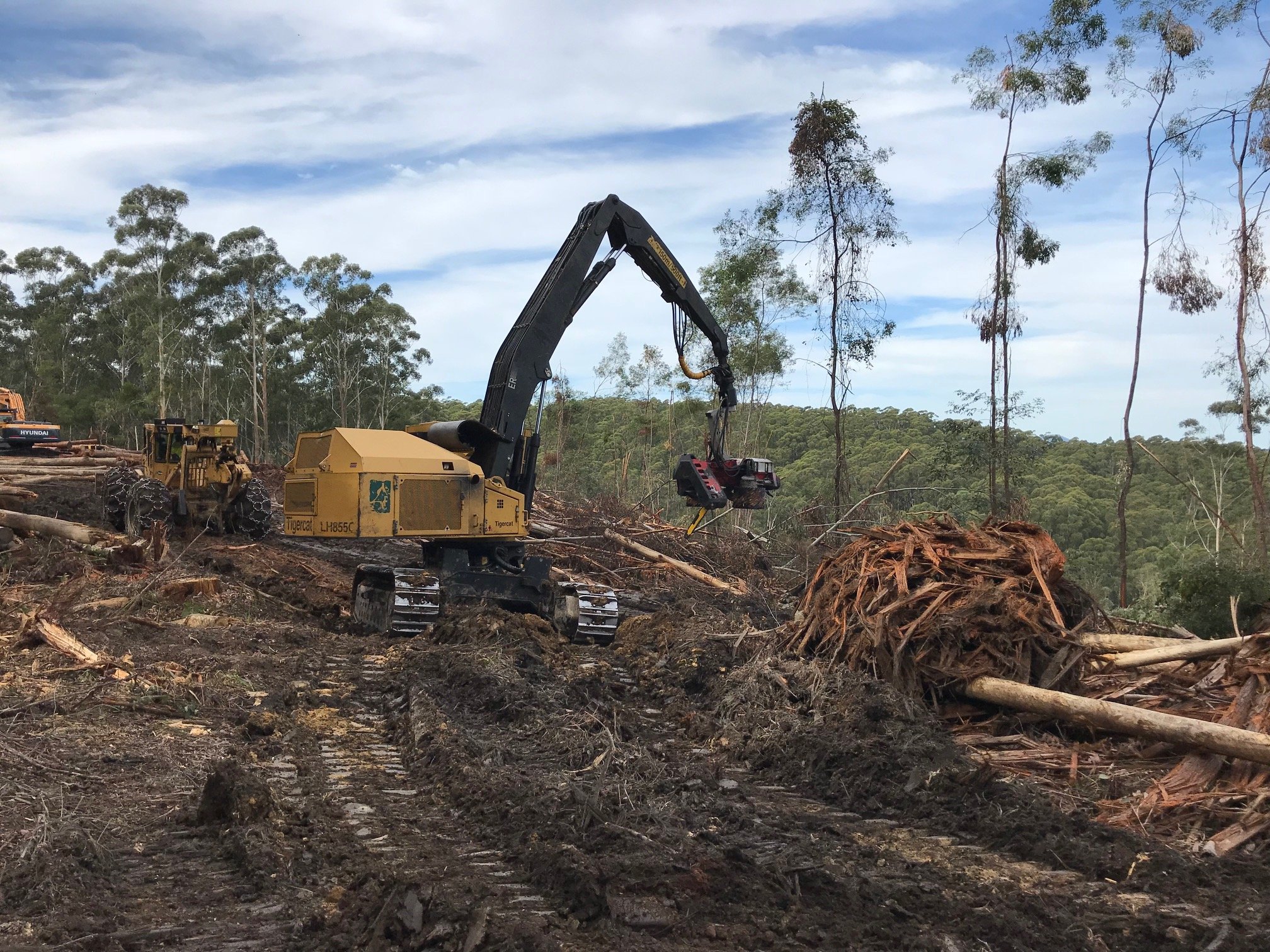 Forestry equipment in logged forest area with trees and debris.