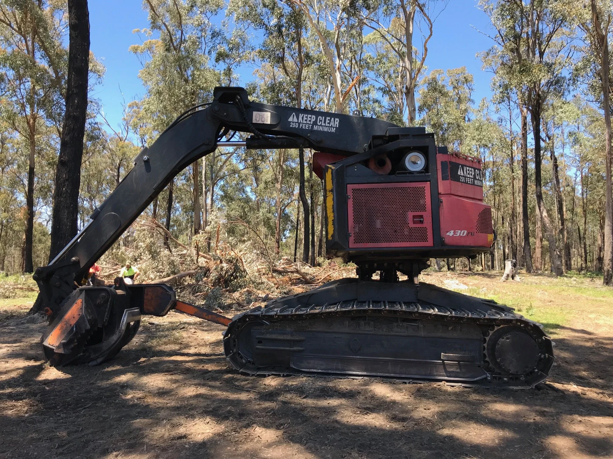 Forestry machine in a wooded area