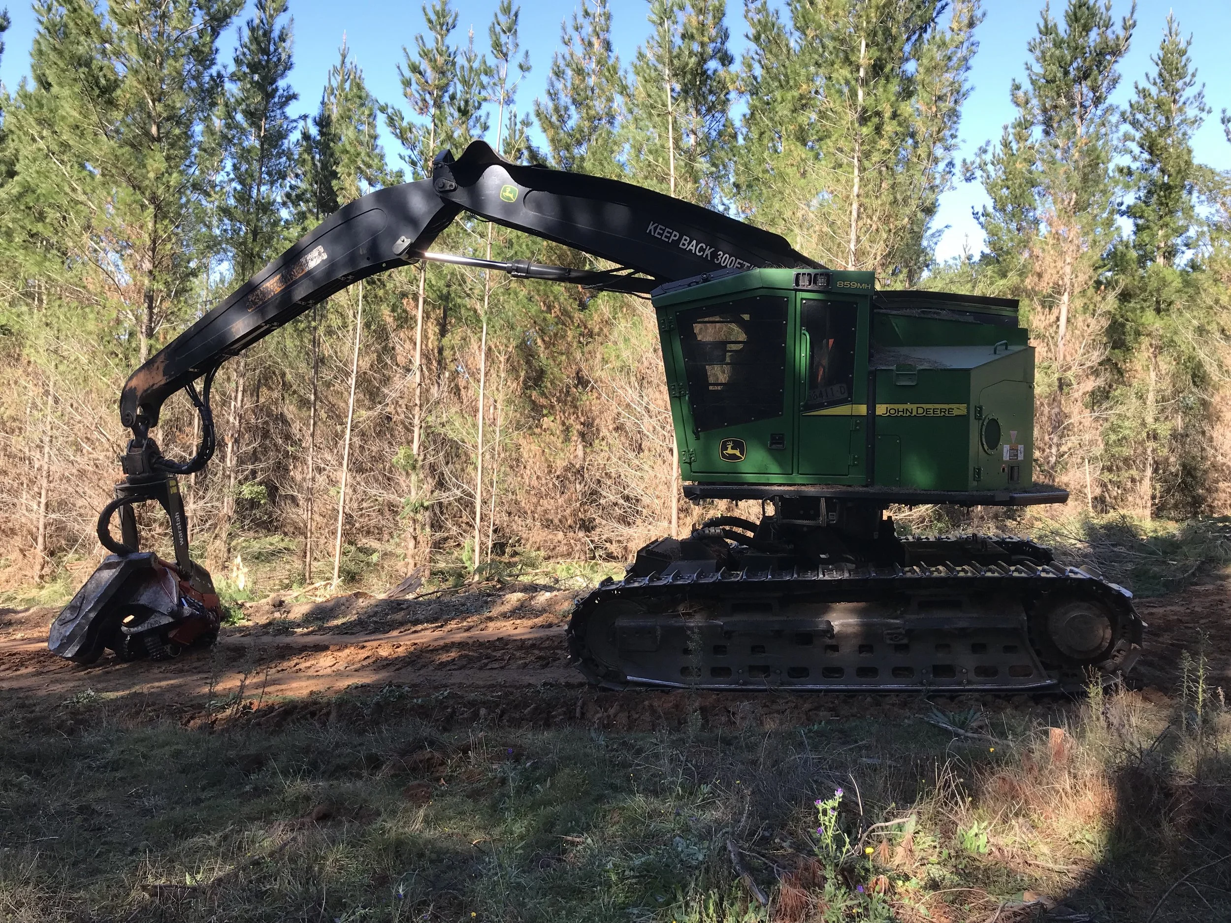 Forestry machine operating in a wooded area.