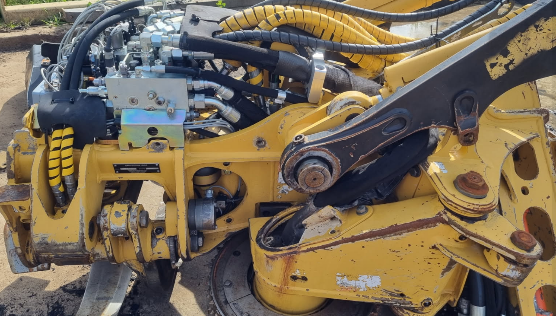 Screenshot 2026-02-12 131104.png