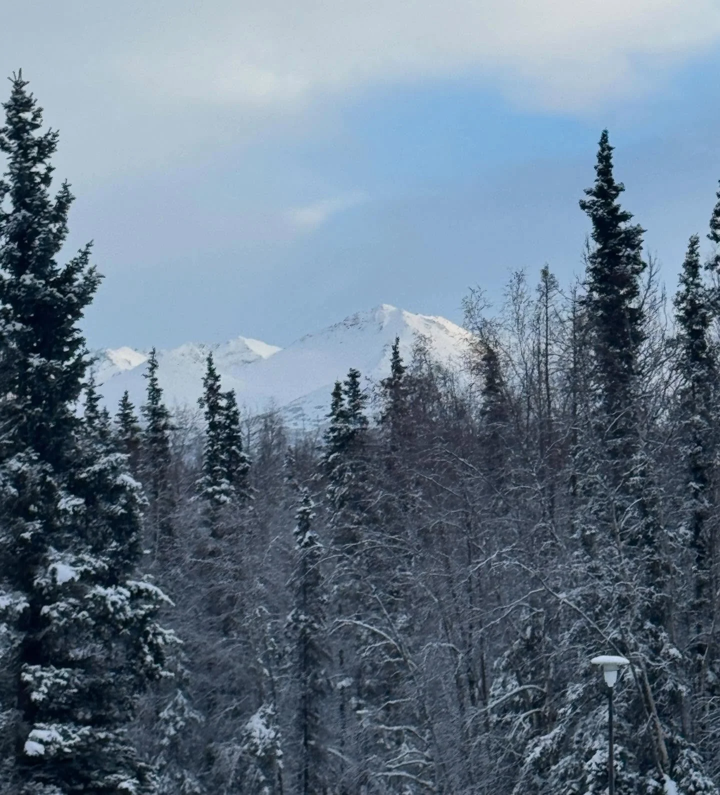 Don&rsquo;t need to go far to see the resemblance! Beautiful views from Makers Market at Atwood Center and look how it mirrors our &lsquo;Misty Mountain&rsquo; artwork! 
ALL paper prints are BUY 2, GET 1 FREE!

Swipe 

Here till 4pm today!