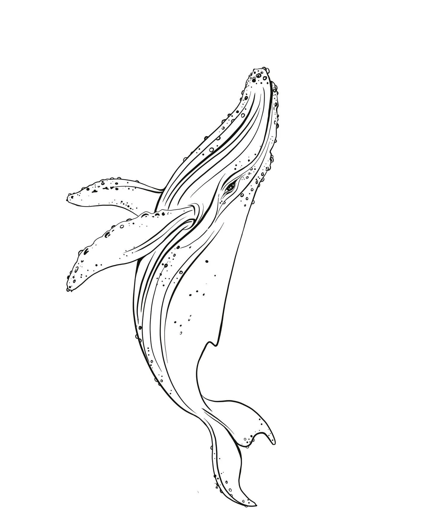 Here is a sneak preview of a few things I&rsquo;ve been working on lately! I&rsquo;ve been a bit quiet on here, but quiet = productive! 

Next First Friday will be @doubleshovelciderco in May!