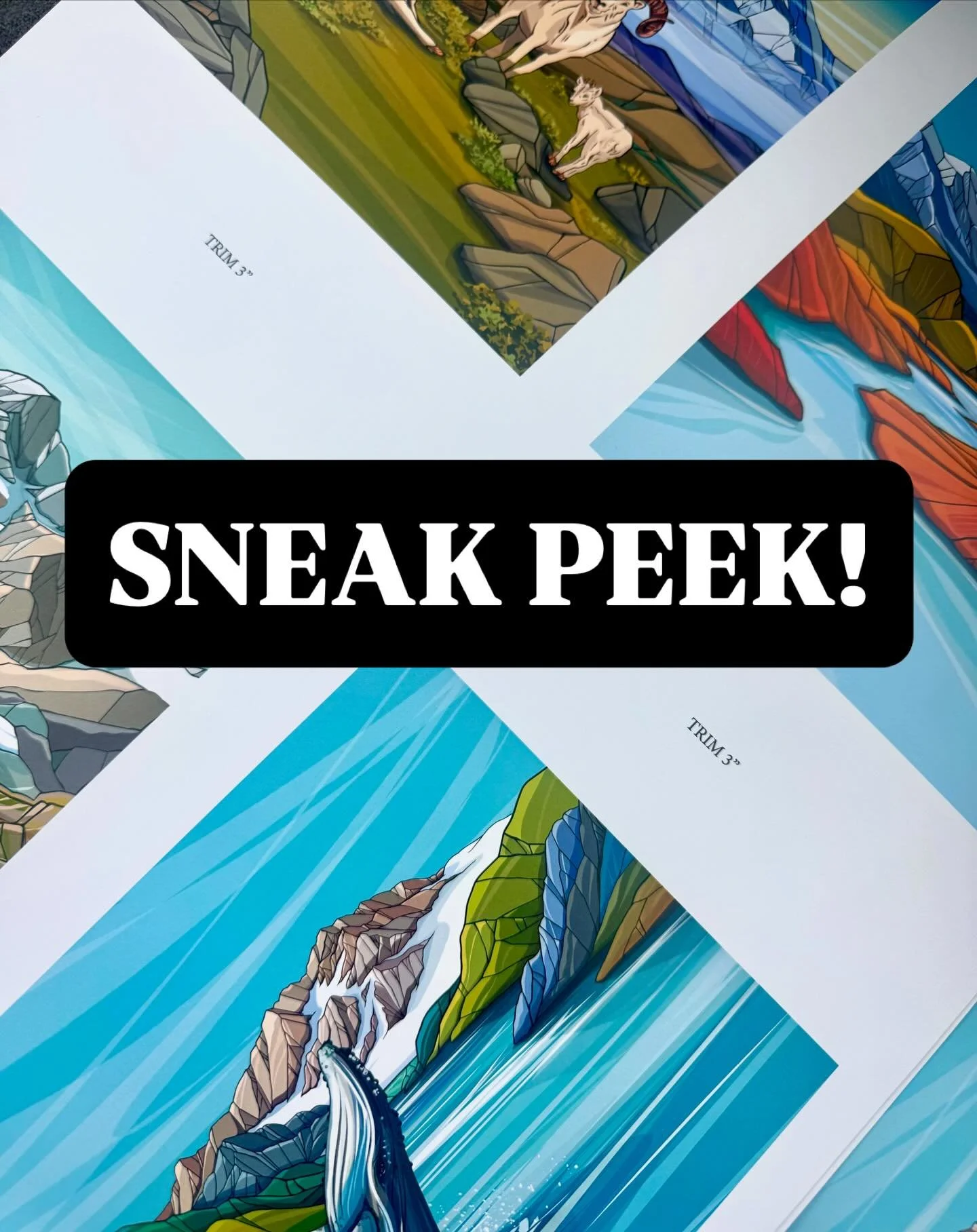 Proof stage.

These are the first pulls of the spring lineup&mdash;checking color, line weight, and how everything translates to print. Some will stay exactly as they are. Some will shift.

Glaciers, wildlife, open water&mdash;clean, bold, and dialed