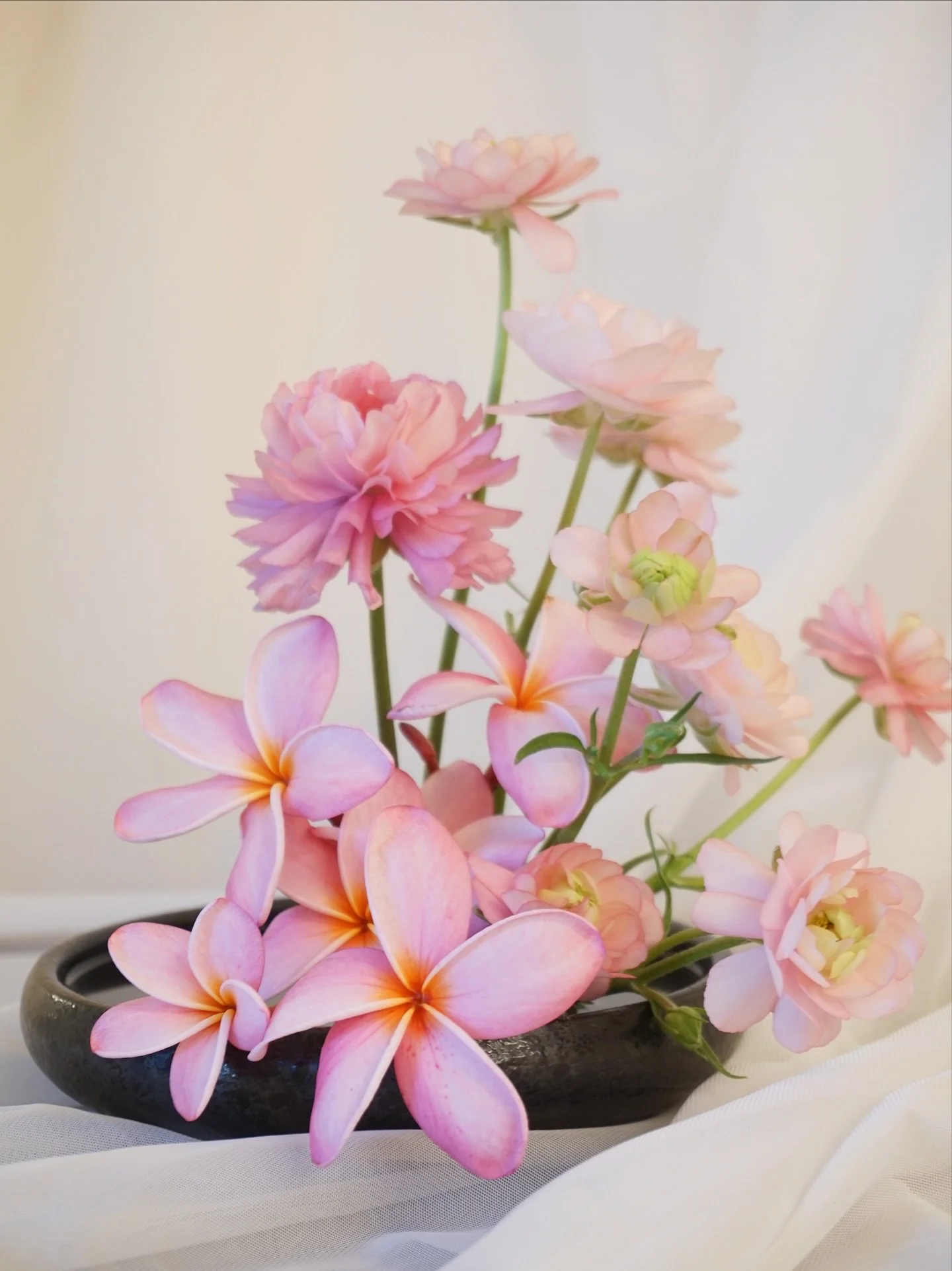 Plumeria x Butterfly Ranunculus 🌸

#floraldesign #tropical #weddingflorist #keywestflorist #flowers #pink #romantic #2025brides #floralinspo #florist
