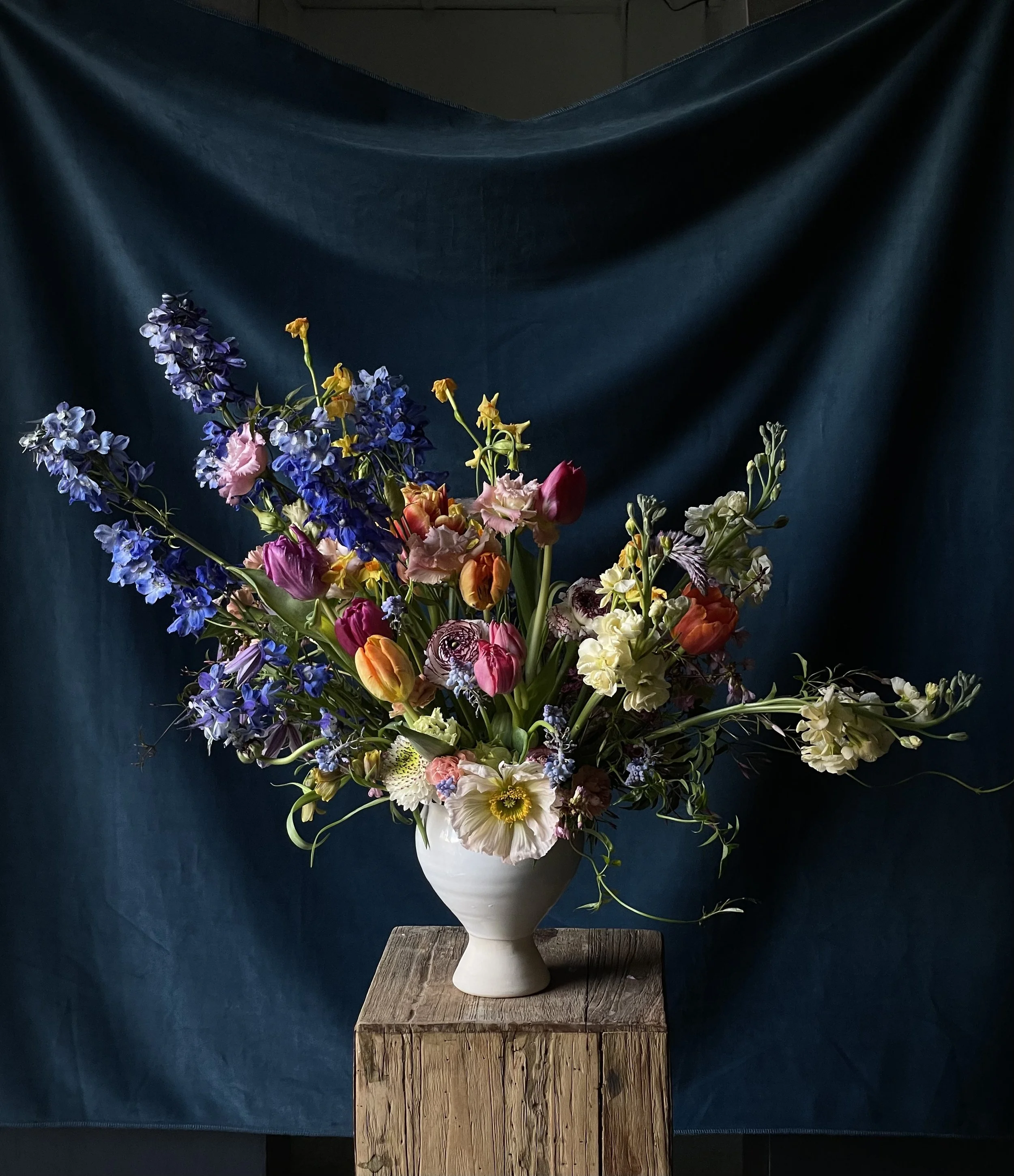 A colorful Dutch Master floral arrangement, in a white ceramic vase placed on a wooden pedestal with a dark blue velvet backdrop featuring blue delphinium, Icelandic poppies, and multicolored tulips.