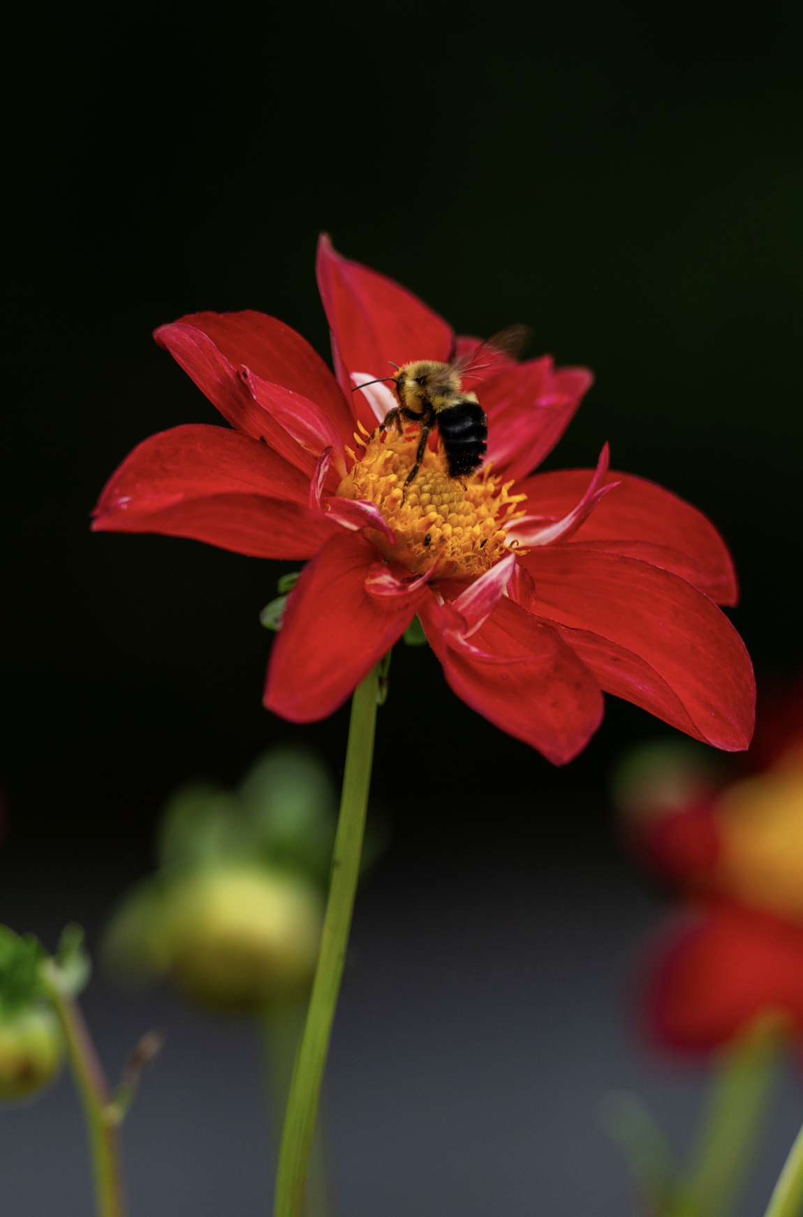 Screenshot 2025-11-04 at 8.40.16 AM.png