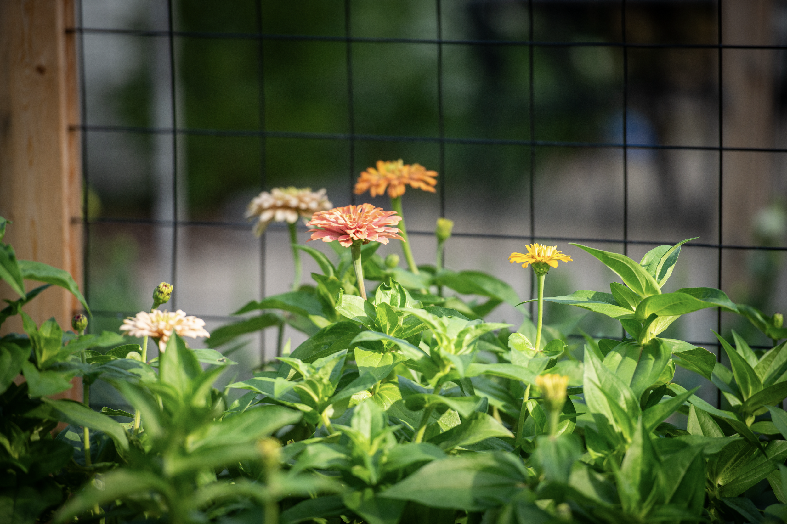 Screenshot 2025-11-04 at 8.38.50 AM.png