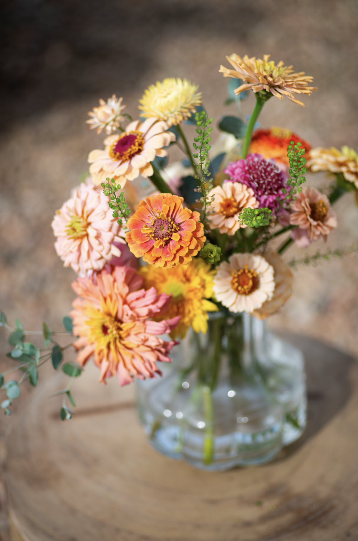 Screenshot 2025-11-04 at 8.39.37 AM.png