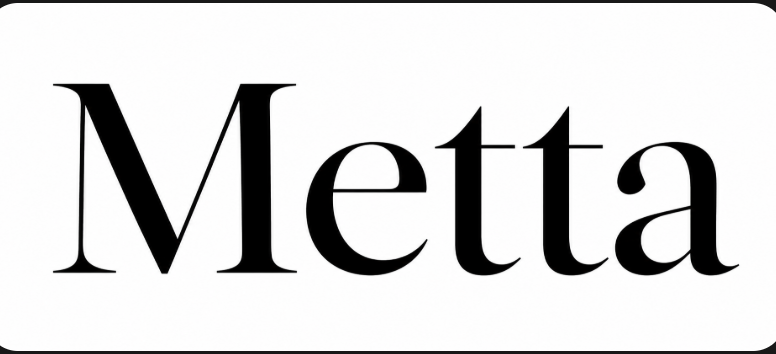 Metta Leadership Strategies - Leadership is a practice