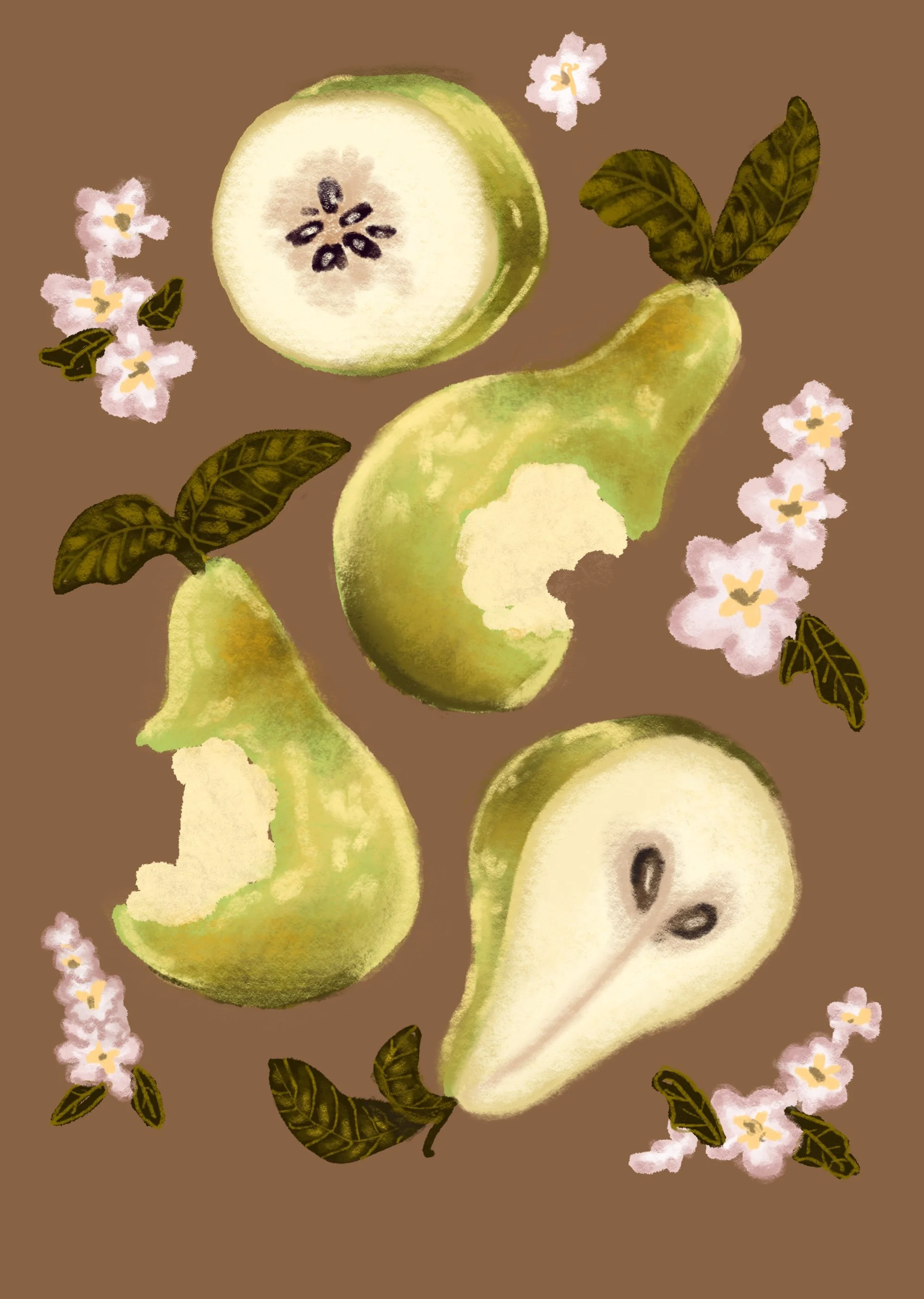 Brown_Pear_Notebook.jpg