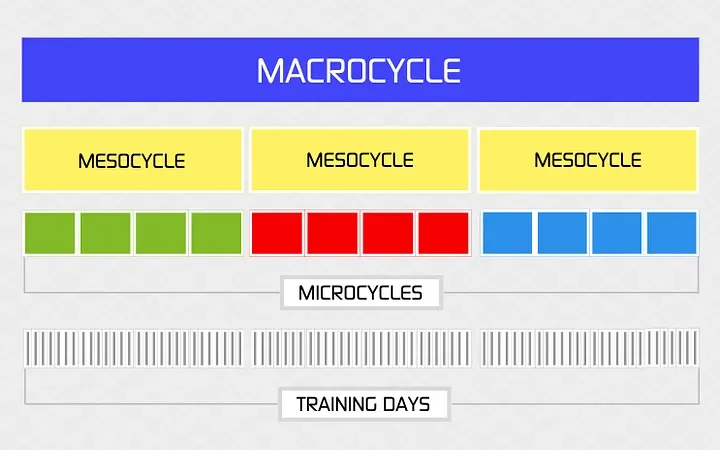 The Science of Periodization: A Blueprint for Structured Progress