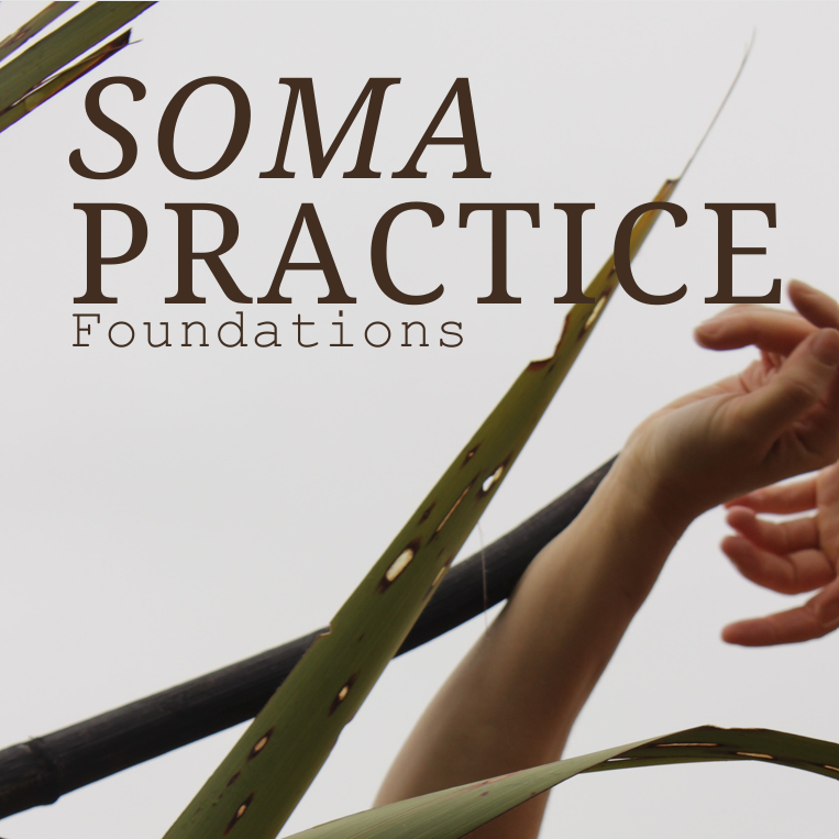 Soma Practice Foundations