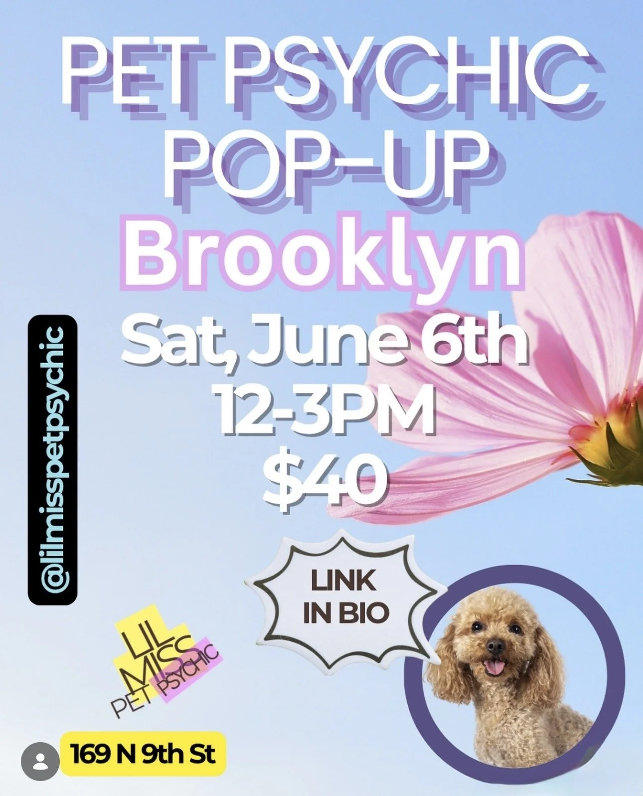 Pet Psychic Readings by @lilmisspetpsychic 