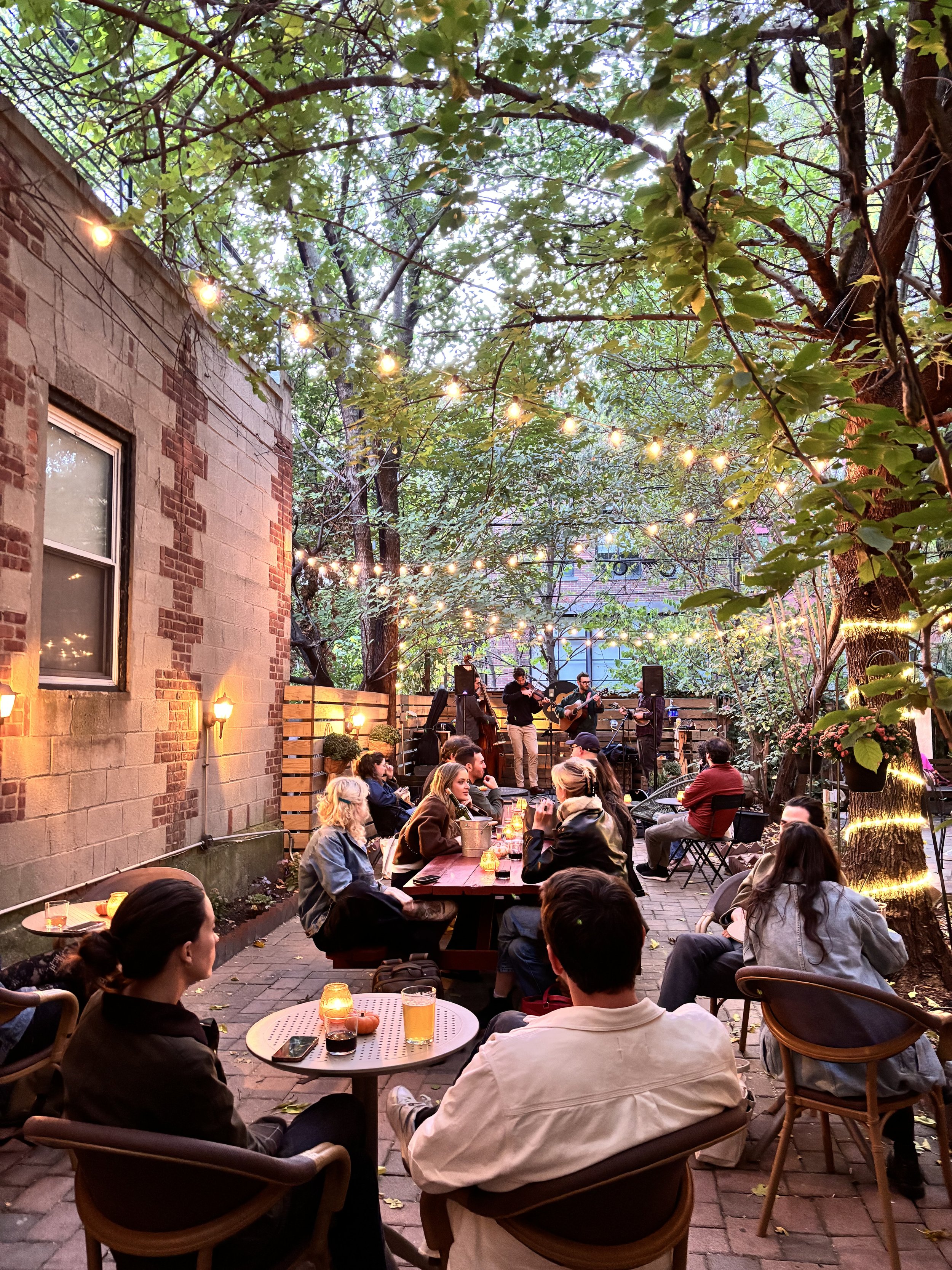 Saturn Road coffee shop's backyard