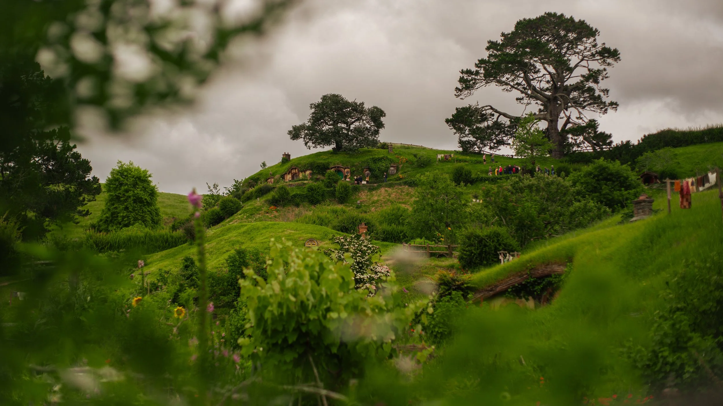 Hobbiton-47.jpeg
