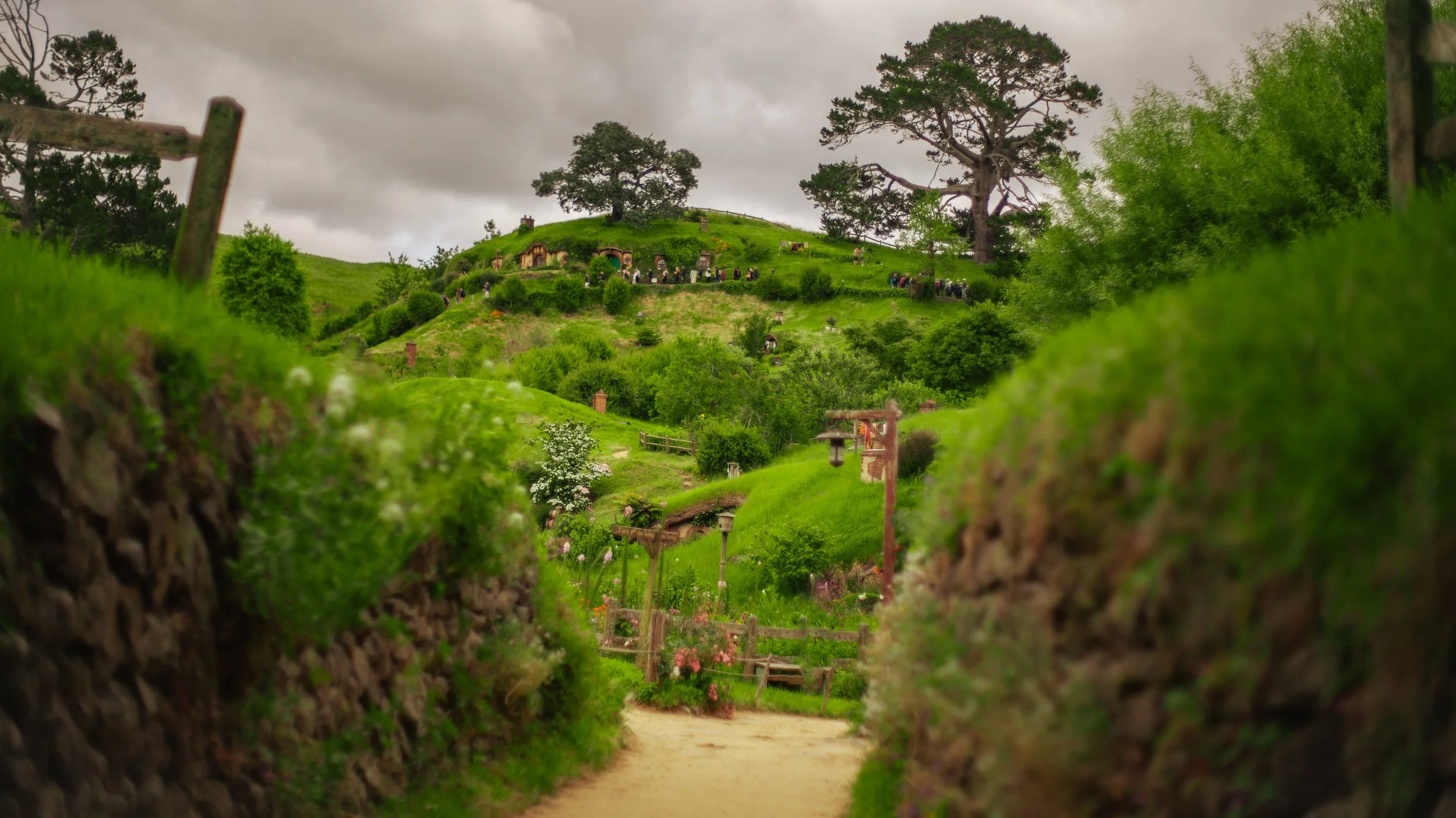 Hobbiton-49.jpeg