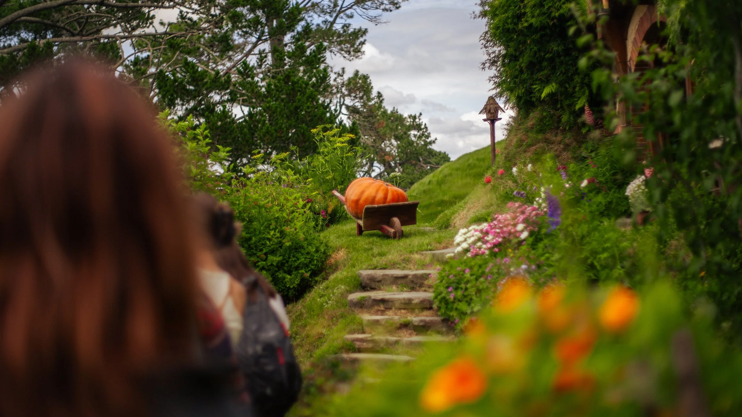 Hobbiton-26.jpeg