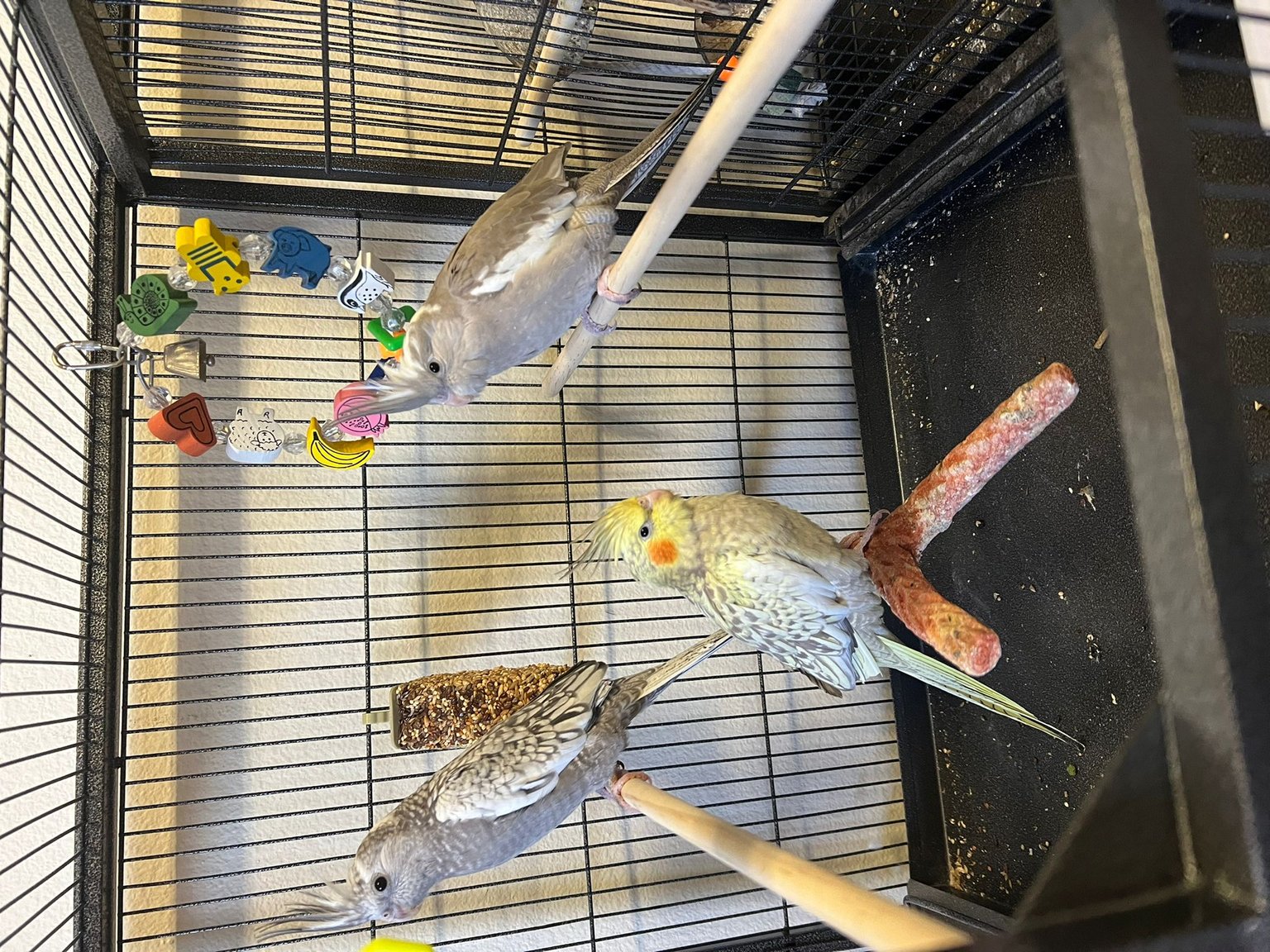 WhatsApp Image 2025-07-01 at 22.07.16_289ff384.jpg