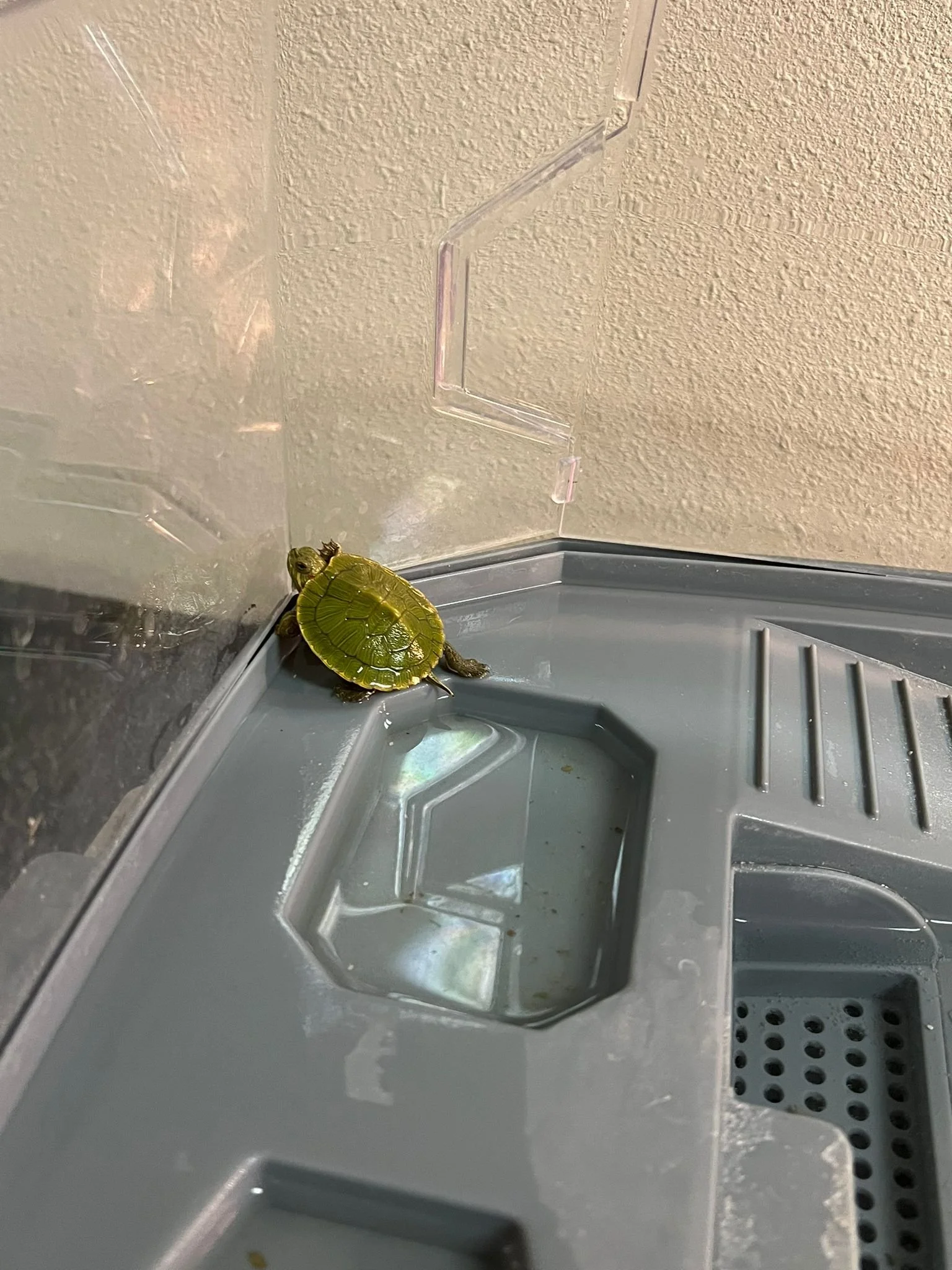 WhatsApp Image 2025-06-28 at 02.46.23_8d17ade3.jpg