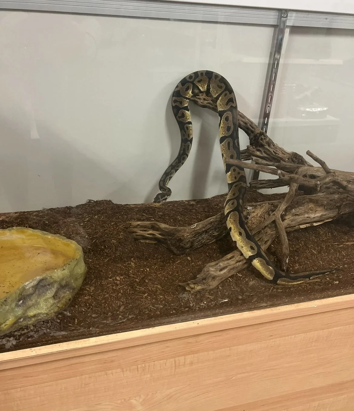 WhatsApp Image 2025-07-14 at 23.00.49_2779f9d7.jpg