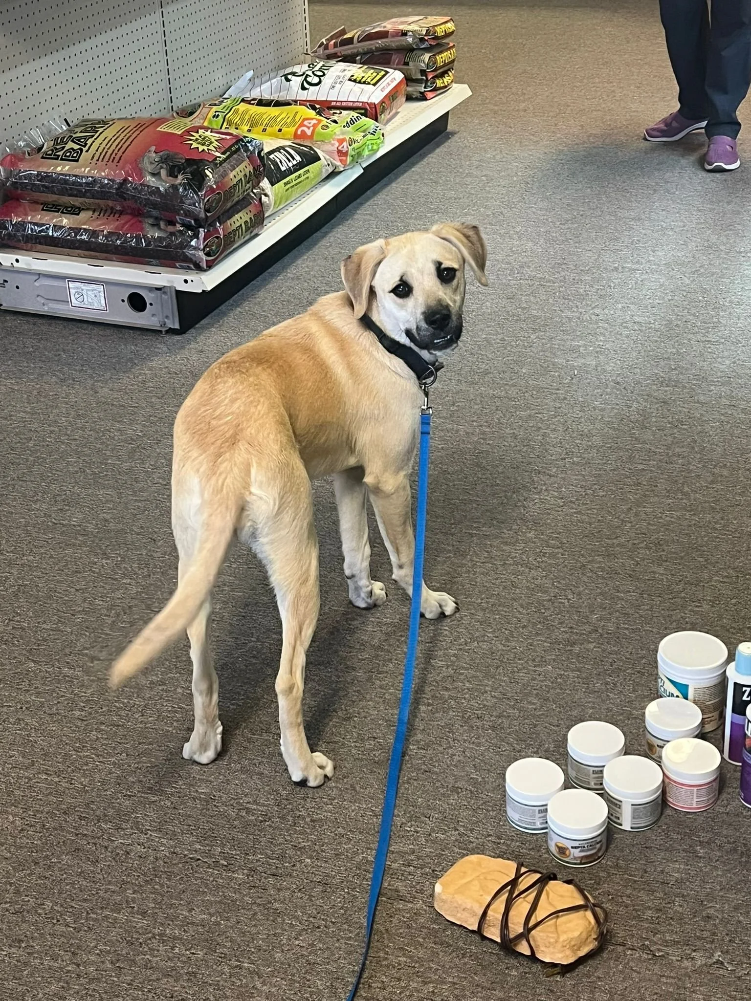 WhatsApp Image 2025-07-14 at 23.00.49_c16bfc46.jpg