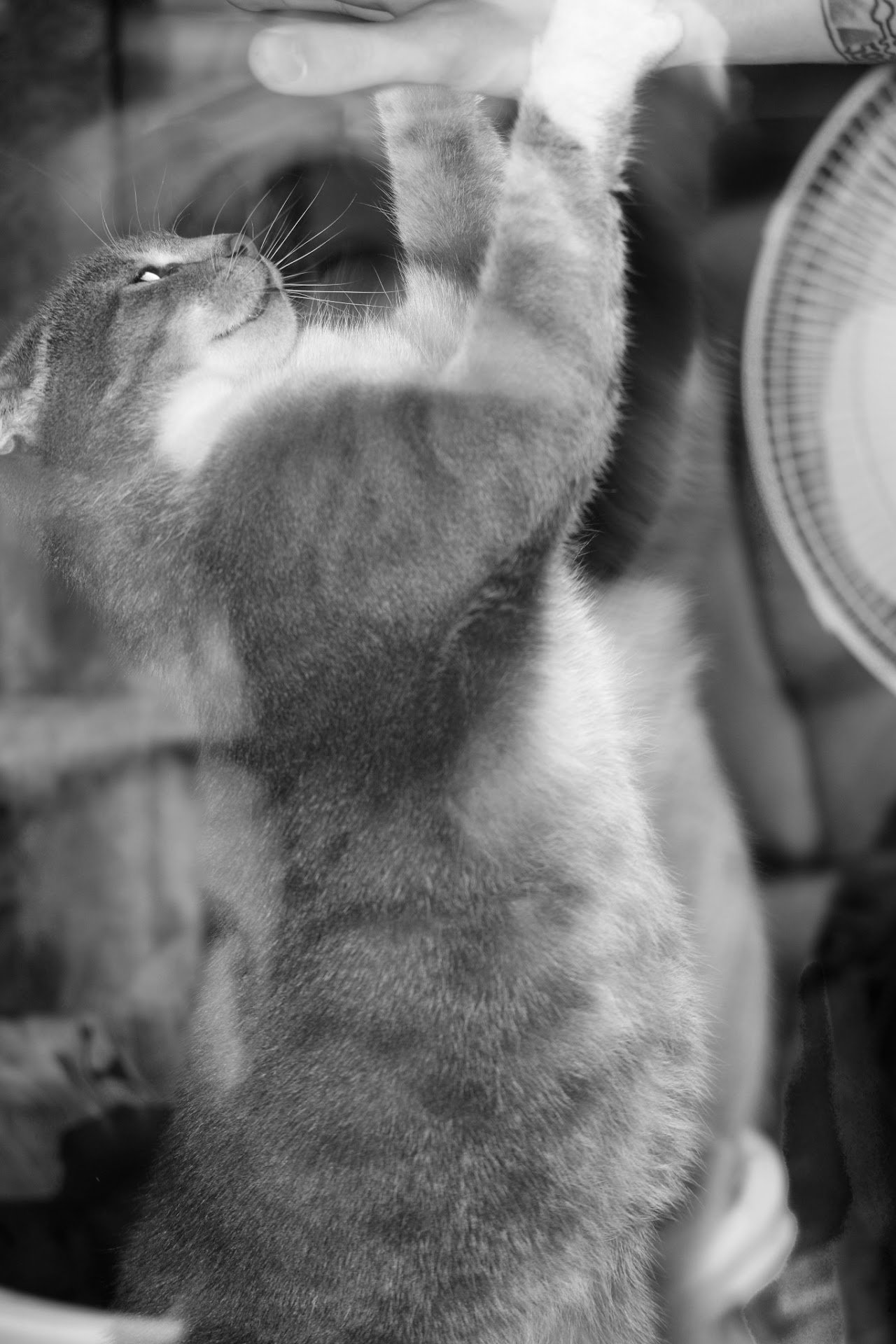 DSC_0200.jpg