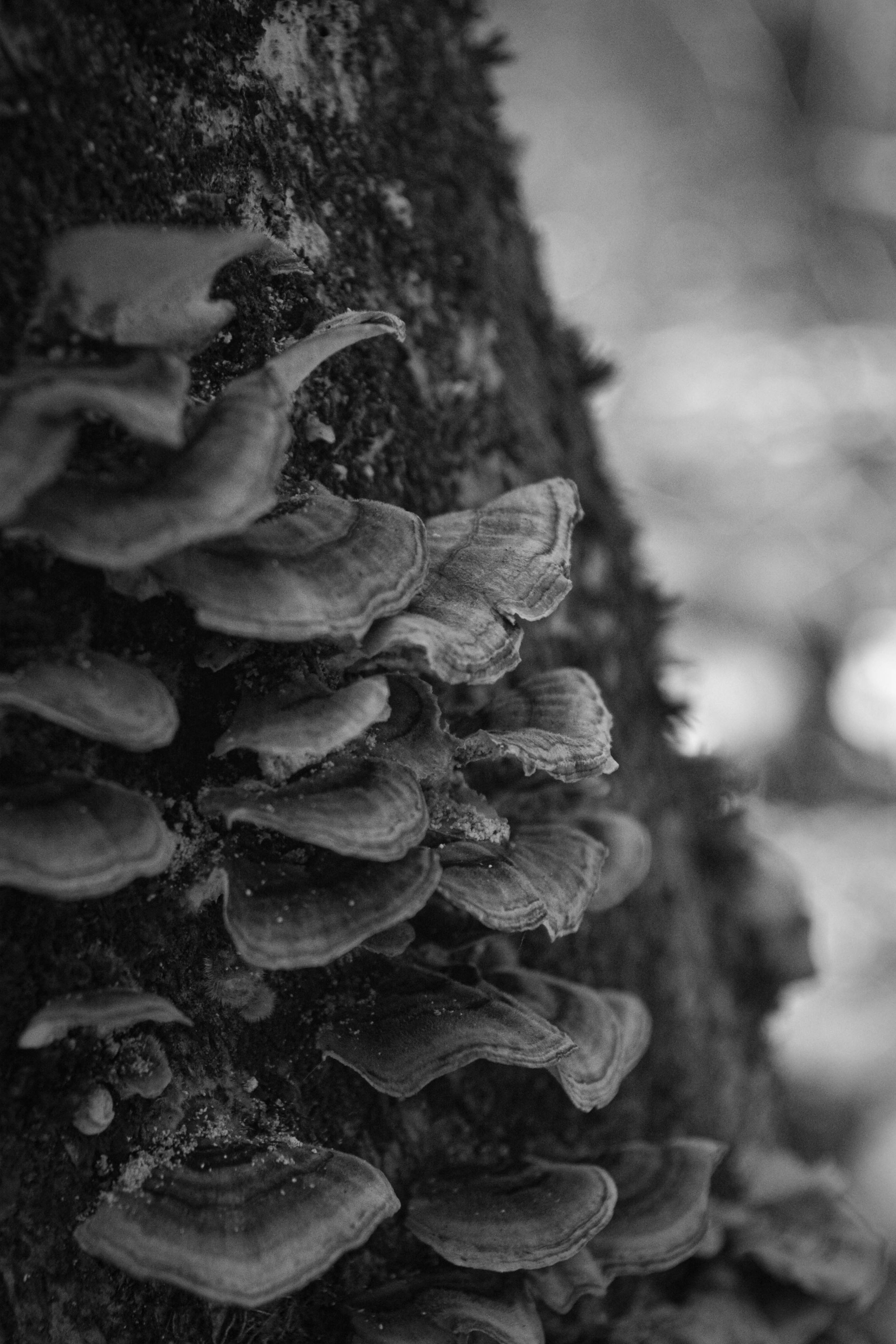 DSC_0164-2.jpg