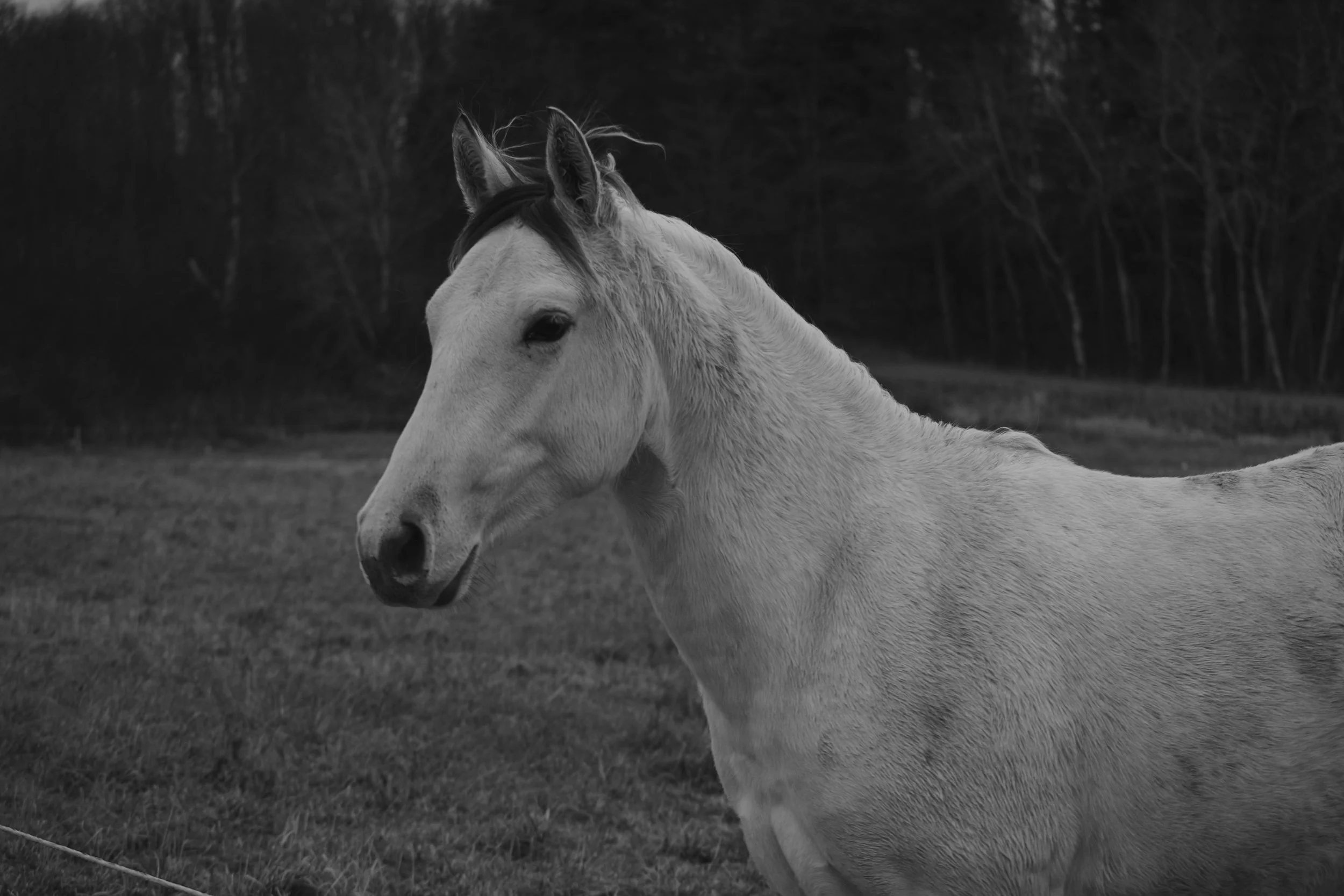 DSC_0163.jpg
