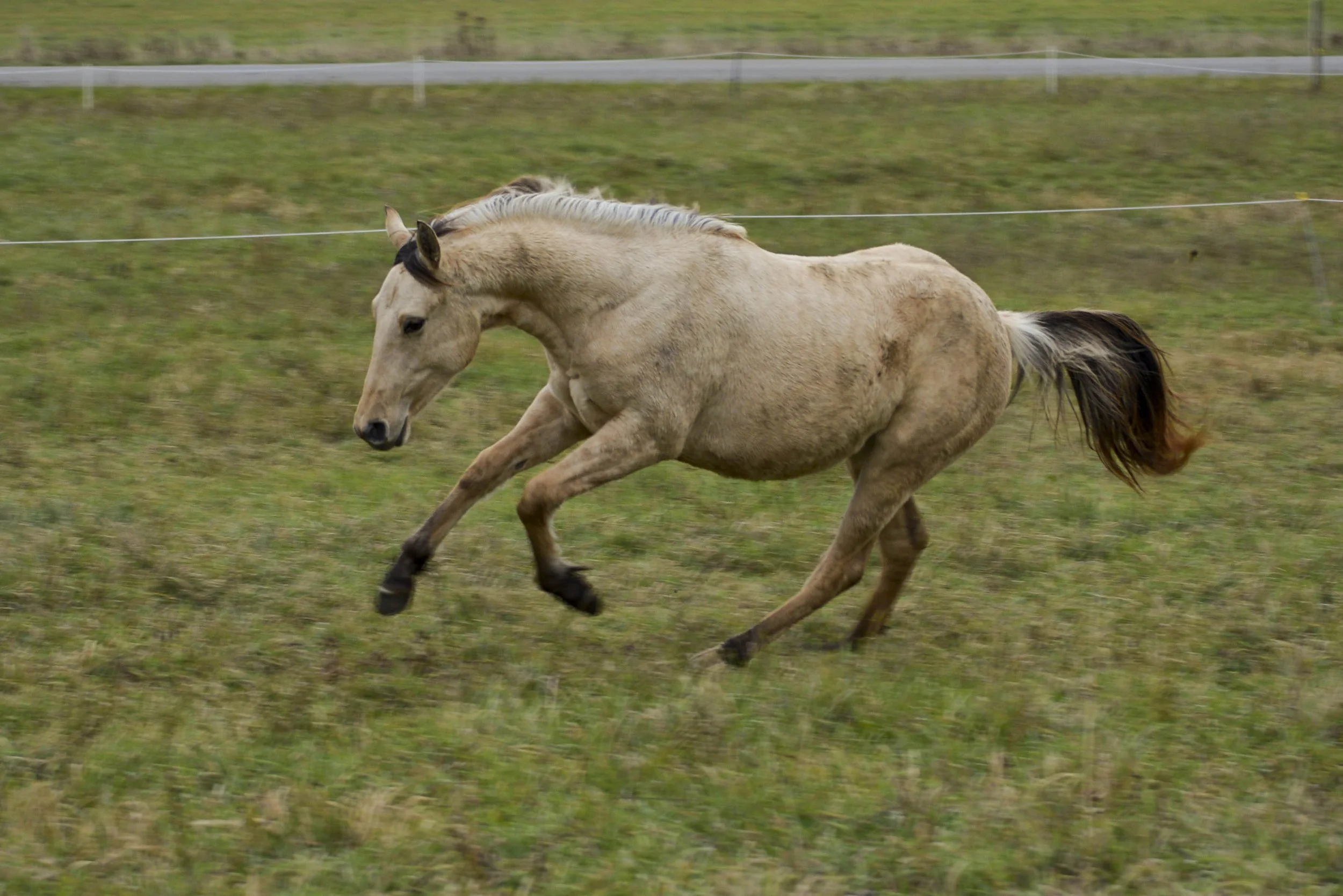 DSC_0165.jpg