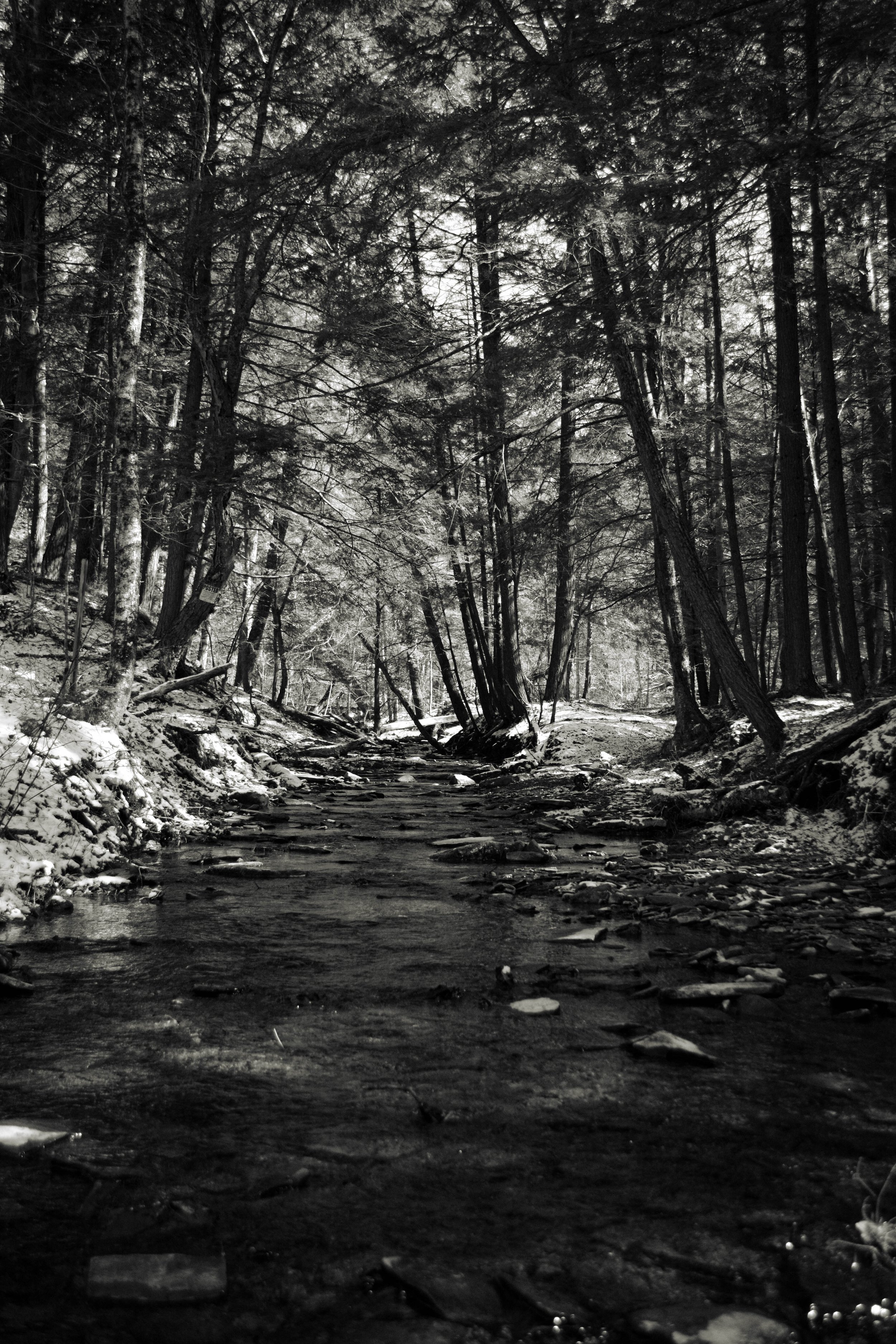 DSC_0122-2.jpg